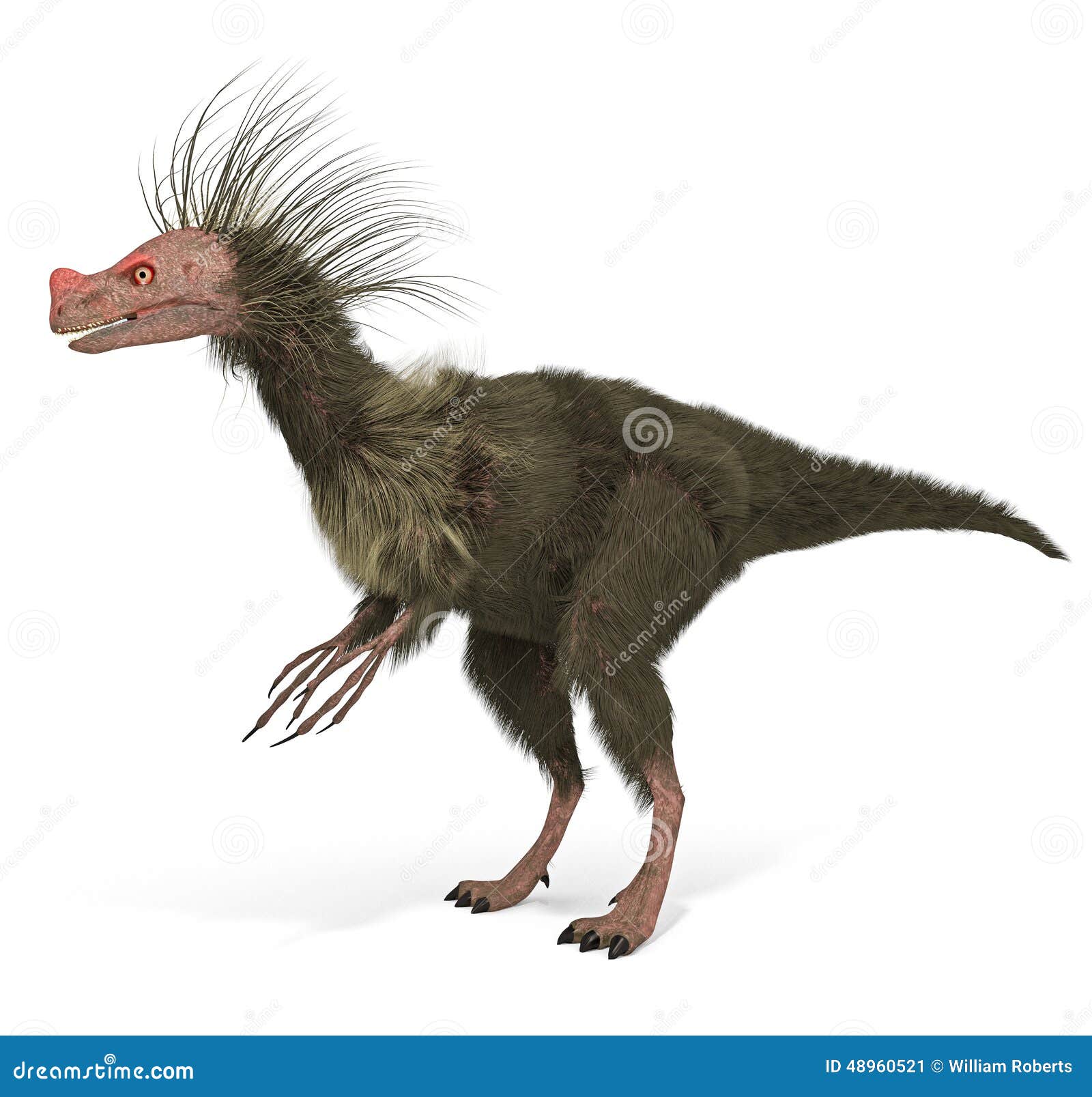 Une illustration du dinosaure Ornitholestes a présenté dans une analyse scientifique plus contemporaine de l'animal représenté avec le troupeau/fourrure