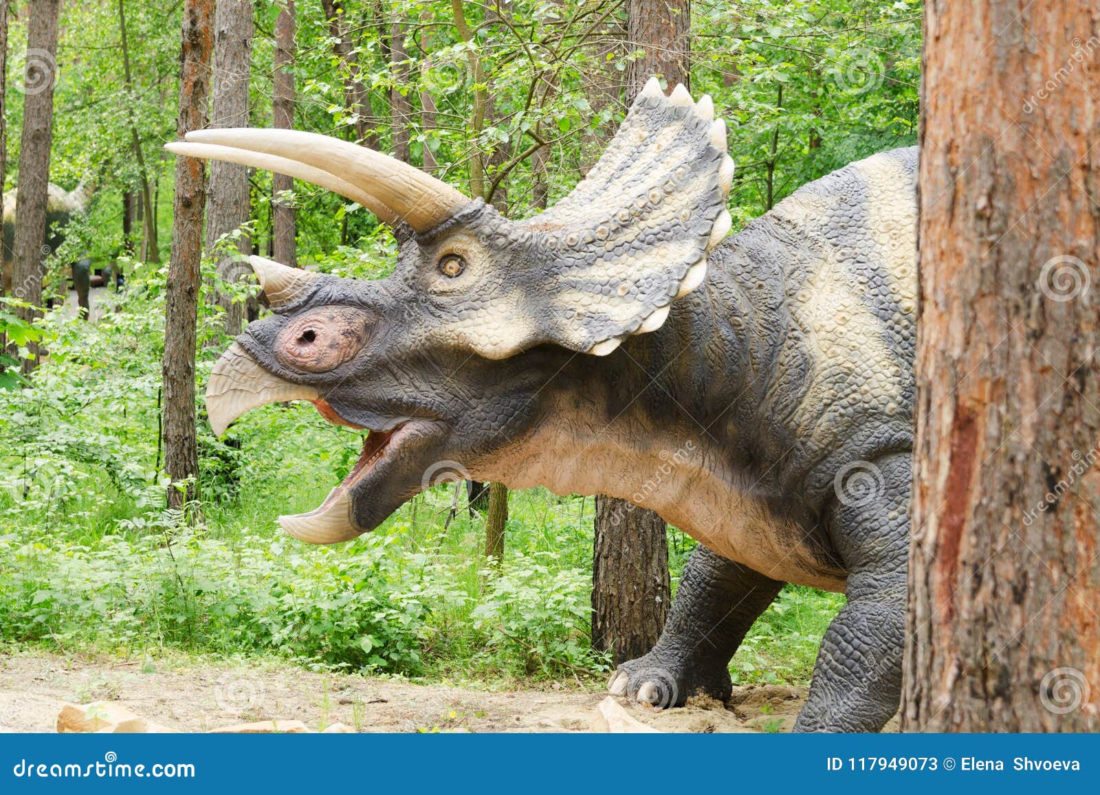 Dinosaure Triceratops Modele En Parc De Dinosaure Image Stock Image Du Artificiel Divertissement