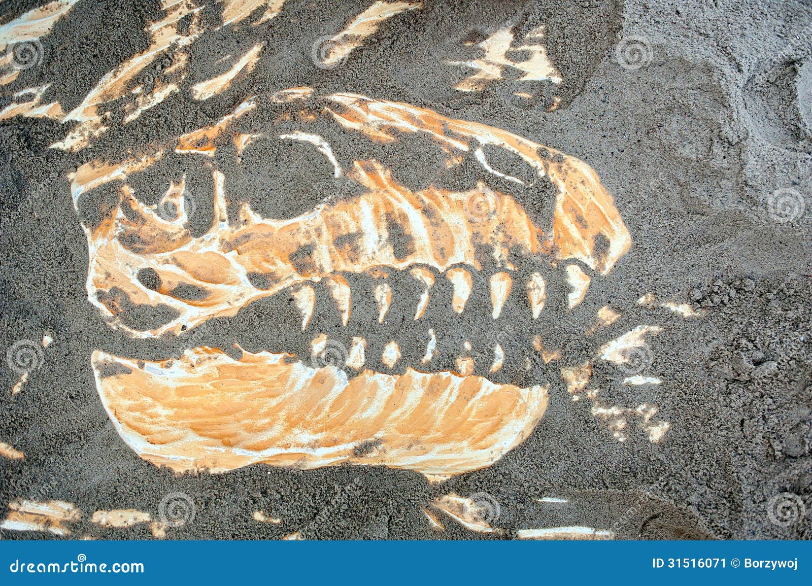 Dinosaurieskalleben. Sand för ben för skalle för dinosauriefossil som begravas i arkeologiutgrävningar.