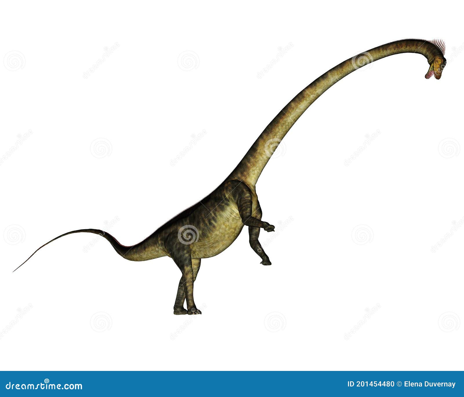 Dinosaurio Barosaurus De Cría De Render 3d Stock de ilustración -  Ilustración de prehistoria, bosquejo: 201454480