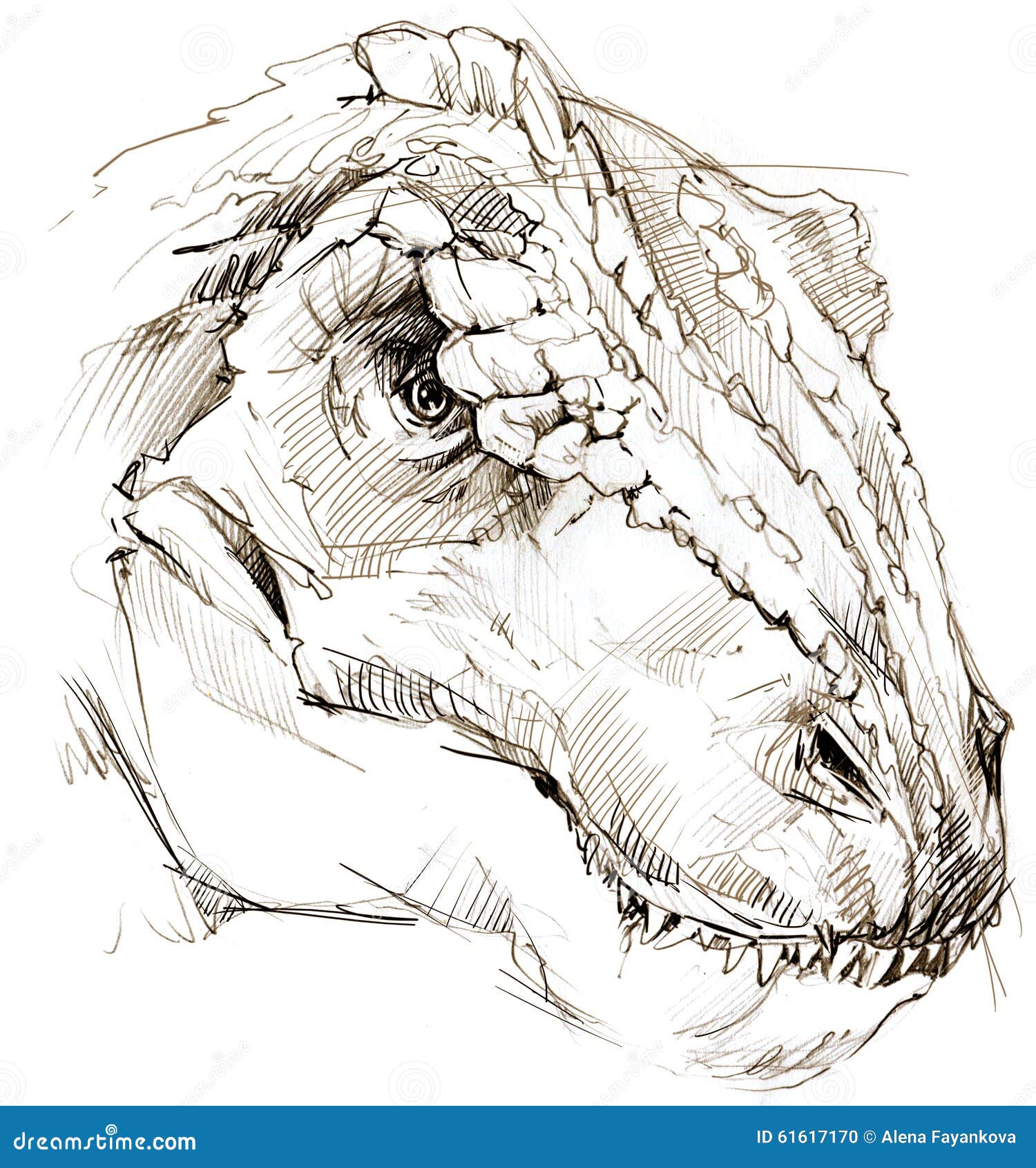 Dinosaurio Bosquejo Del Lápiz Del Dibujo Del Dinosaurio Stock de  ilustración - Ilustración de restos, extinto: 61617170