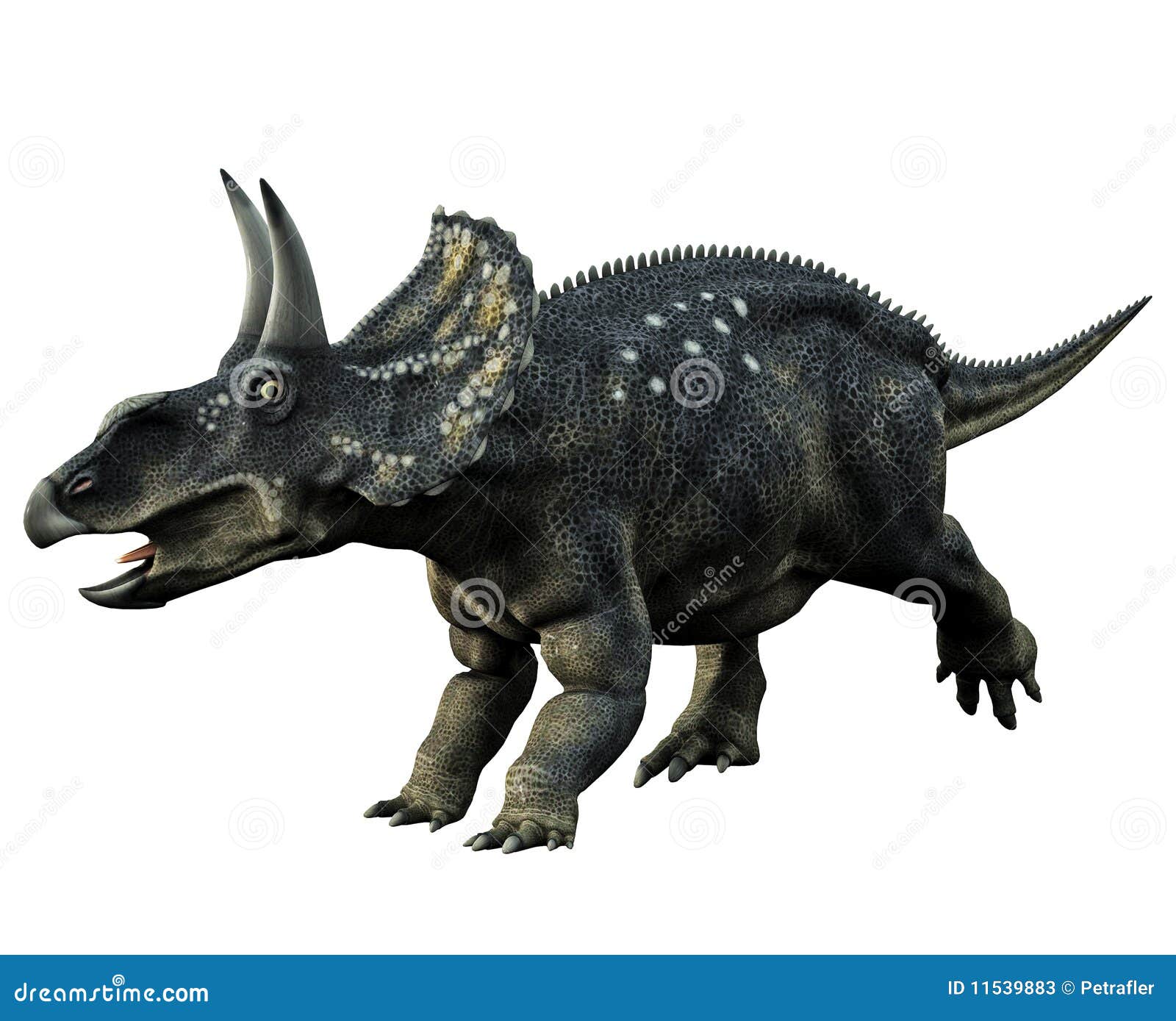 Dinosaurio de cuernos stock de ilustración. Ilustración de garras - 11539883