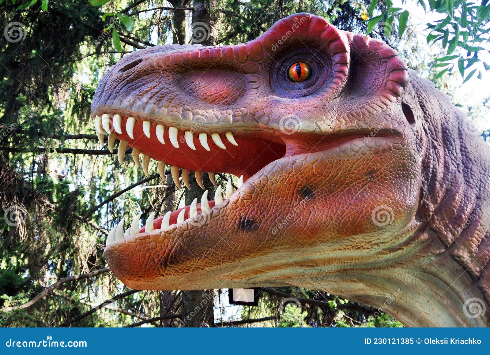 Dinosaurio Tyrannosaurus Rex. Cierre De Cara De Dinosaurio. Tiranosaurio En  El Bosque. Modelo De Dinosaurio En El Parque. Imagen de archivo - Imagen de  ojos, modelo: 230121385