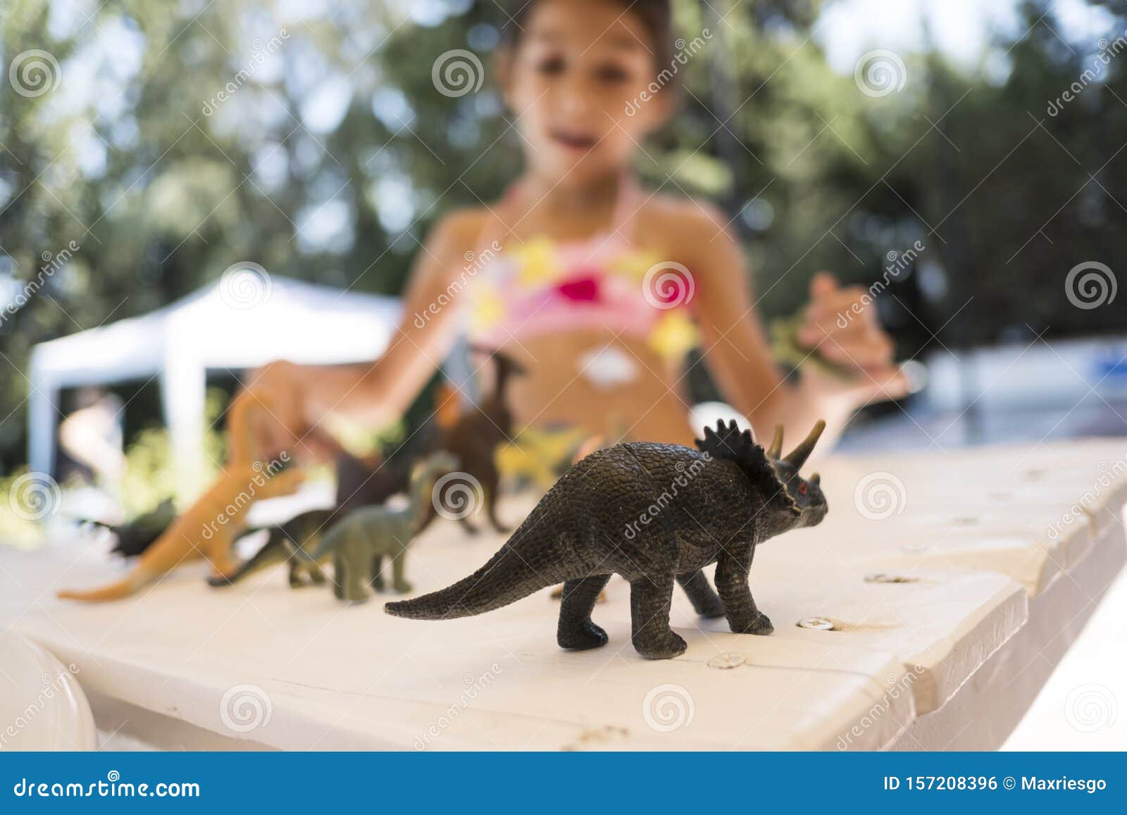 Dinosaurios De Juguete En La Mesa, Triceratops En Enfoque Y Dinosaurio Difuminado Foto de archivo - Imagen de dinosaurios, juguete: 157208396