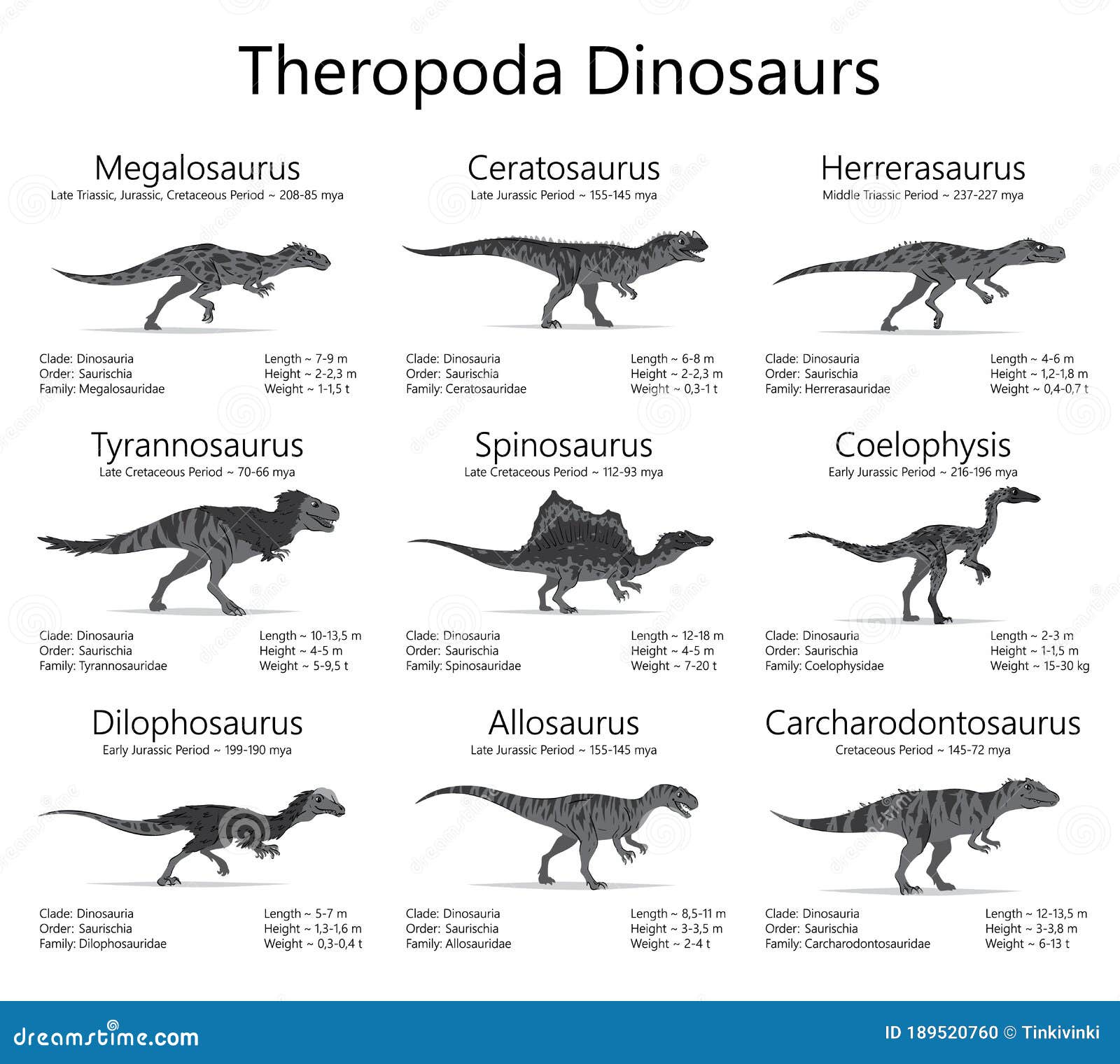 Dinosaurios De Teropoda. Ilustración Vectorial Monocroma De Dinosaurios Aislados En Fondo Blanco. Conjunto De Criaturas Antiguas Ilustración del Vector - Ilustración de cartel, dinosaurio: 189520760 Dinosaurios De Teropoda. Ilustración Vectorial Monocroma De Dinosaurios Aislados En Fondo Blanco. Conjunto De Criaturas Antiguas Ilustración del Vector - Ilustración de cartel, dinosaurio: 189520760