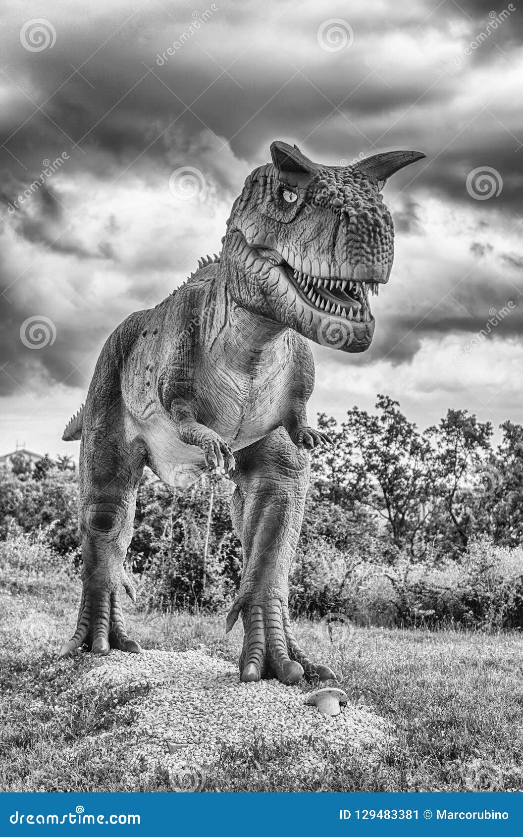 crazy dino park dinosaurs crazy dino park dinosaurs