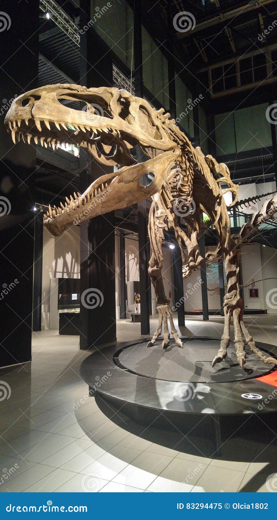 Dinosaurs exhibition editorial image. Image of fossils 83294475