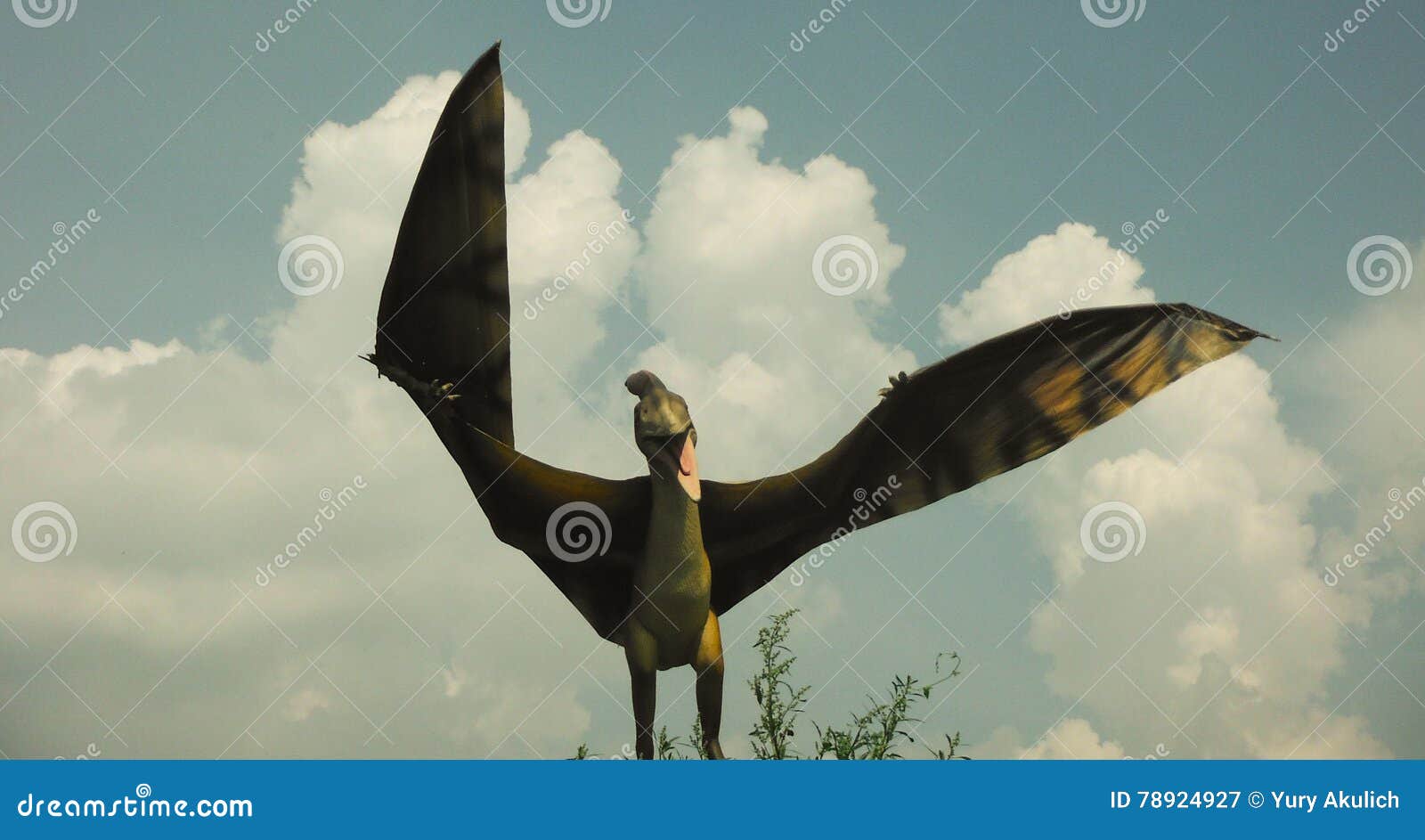 550 Pterodactyl Dinosaur Stock Photos - Free & Royalty-Free Stock Photos  from Dreamstime