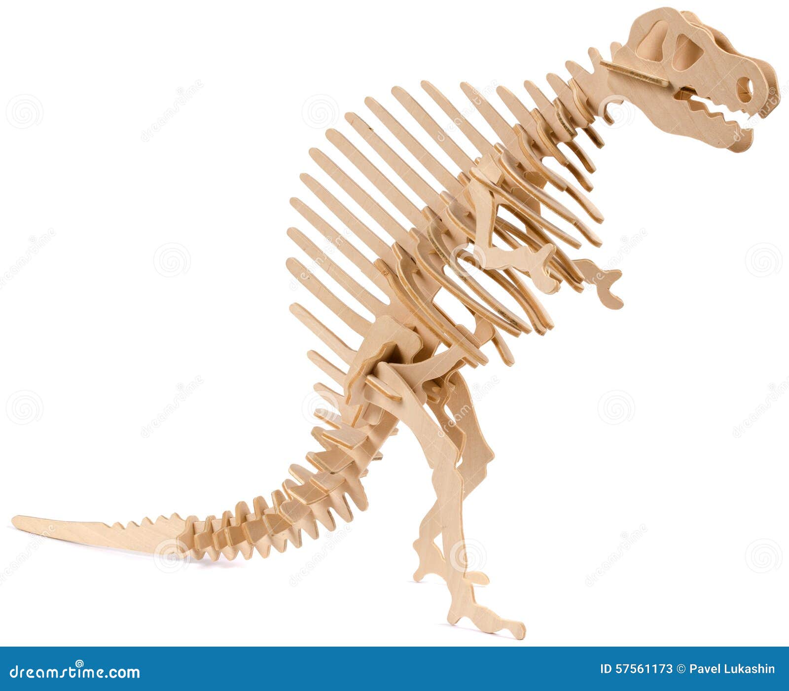 Tiranossauro rex osso de dinossauro esqueleto pé, garra, diversos, imagem  Formatos de arquivo png