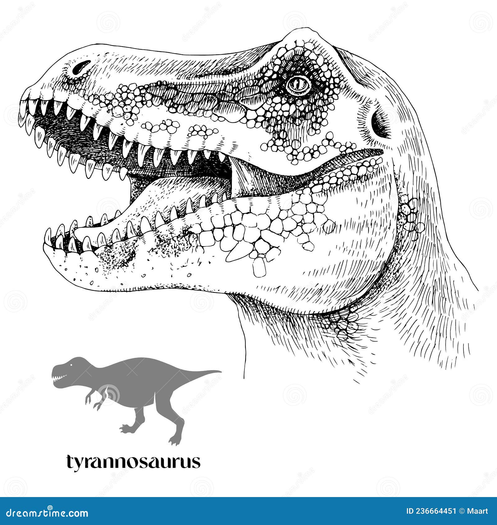 Coleção de dinossauro realista mão desenhada