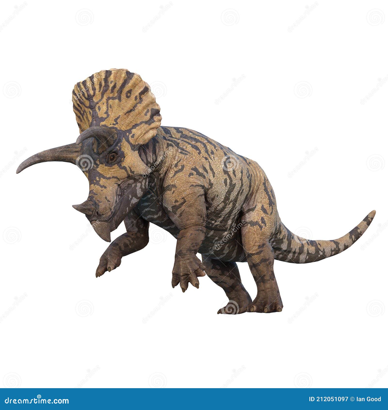 Vetores e ilustrações de Dinossauro triceratops para download gratuito