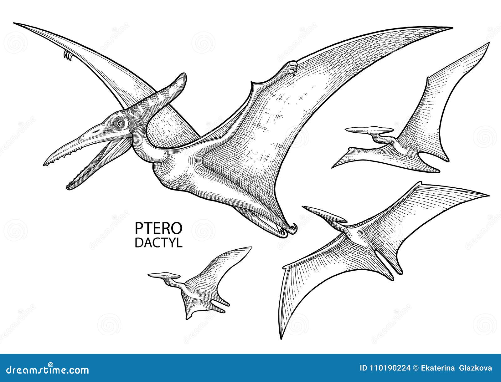 Dinossauro gráfico realista vetor(es) de stock de ©homunkulus28