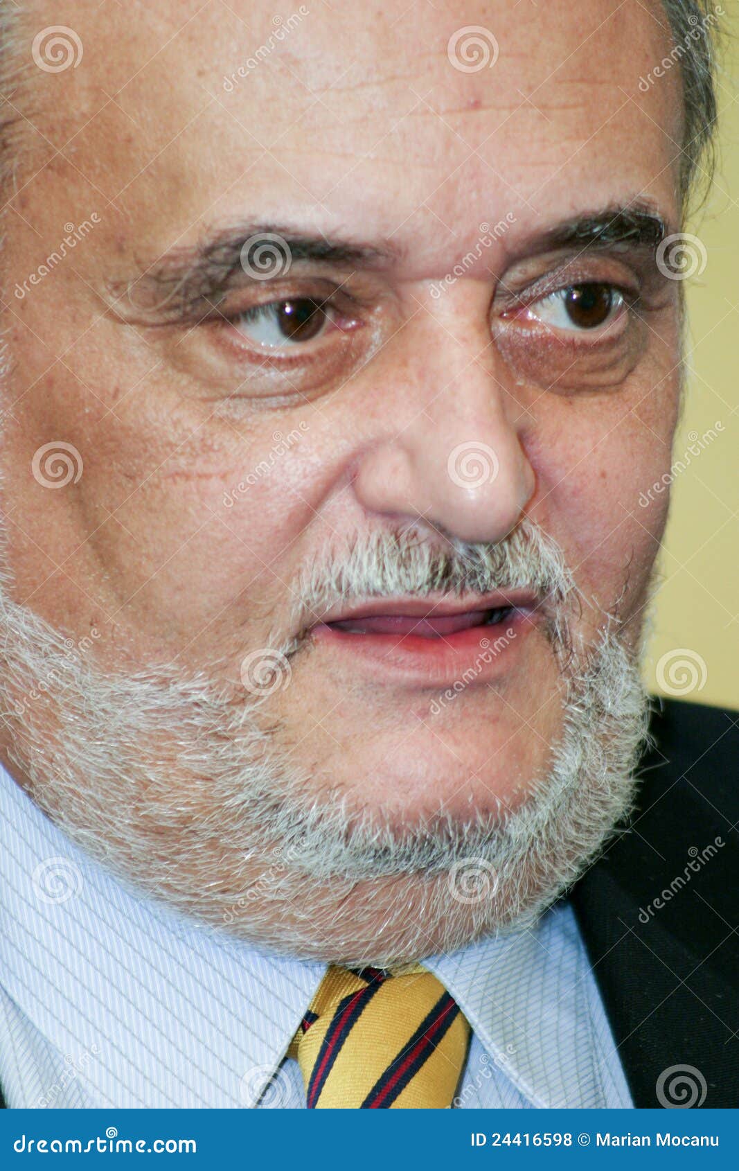 Dinu Patriciu editorial stock photo. Image of dinu, europe - 24416598