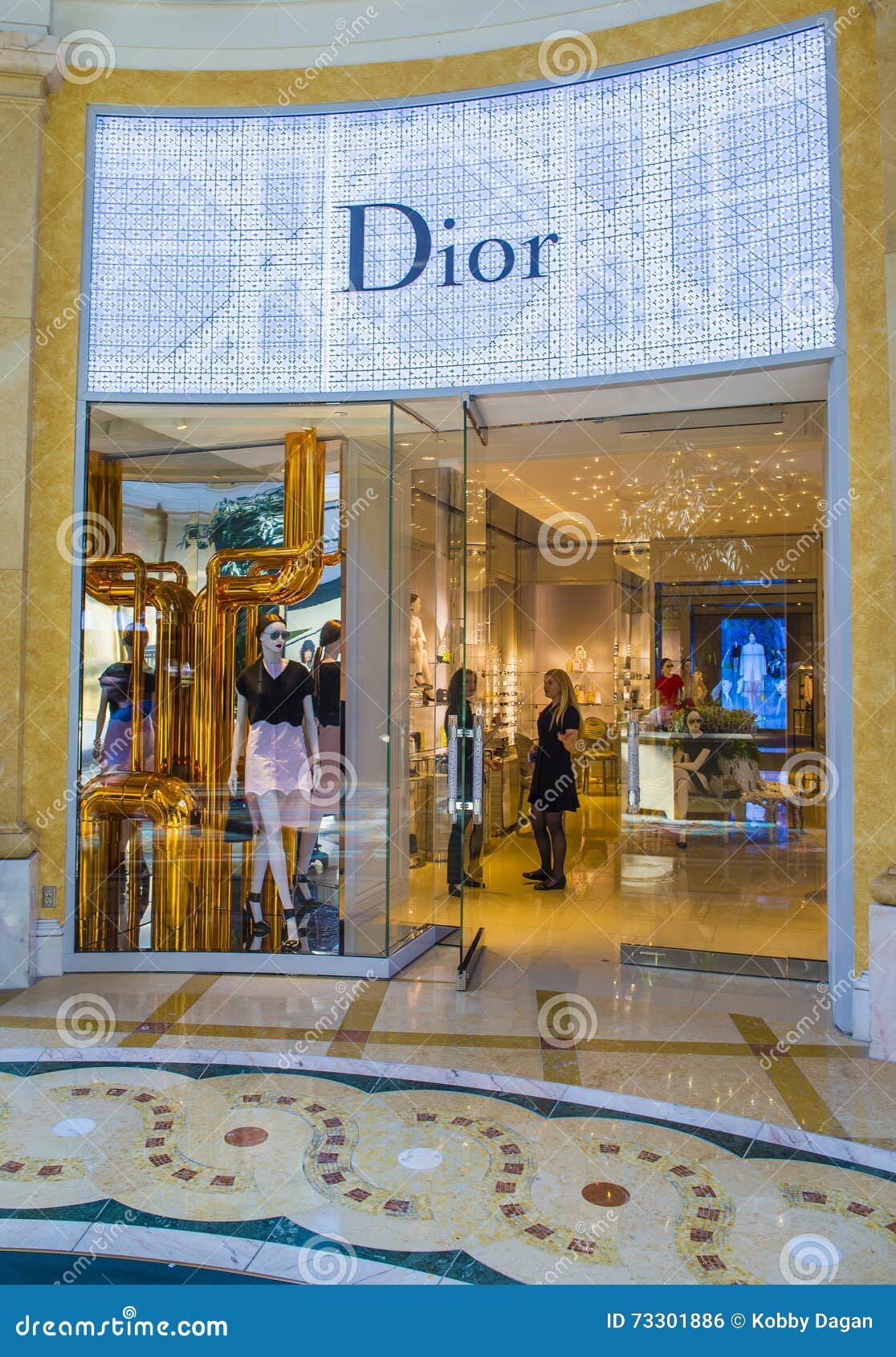 Dior - a French Luxury Fashion House Editorial Photography - Image