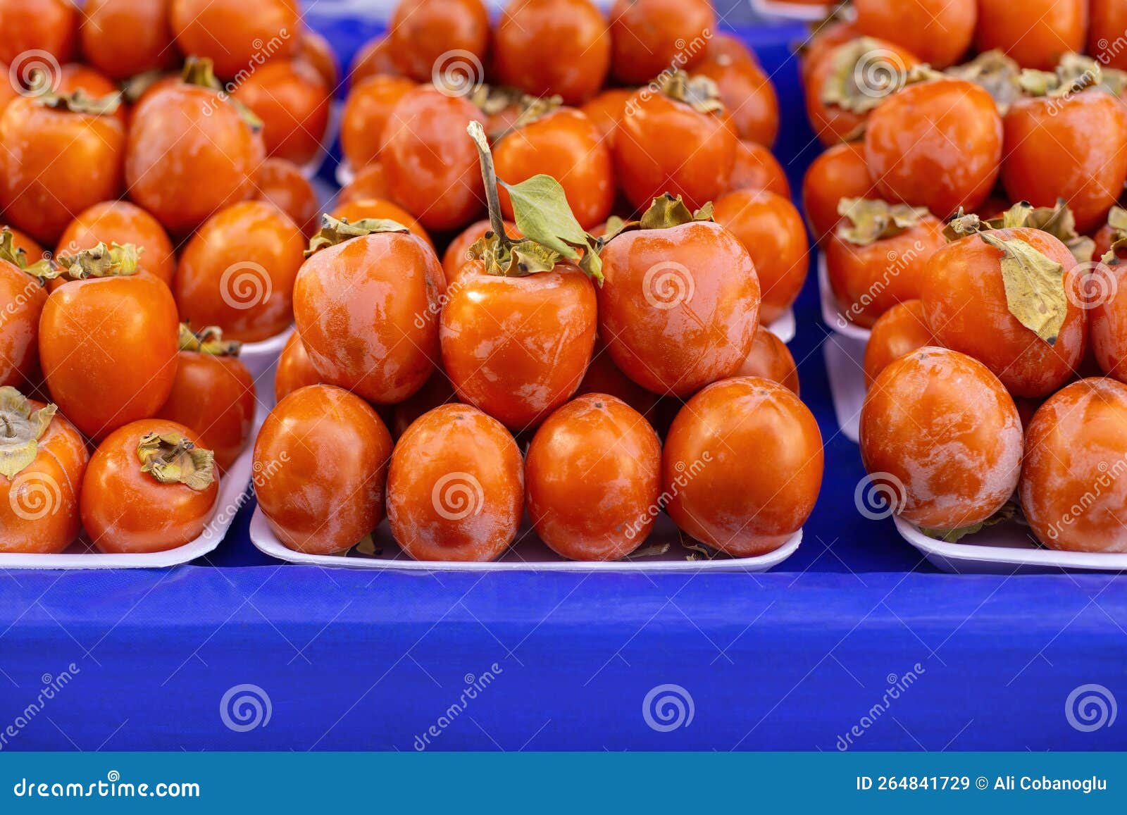 Diospyros Kaki, the Oriental Persimmon, Chinese Persimmon, Japanese  Persimmon or Kaki Persimmon Stock Image - Image of persimmons, angle:  264841729