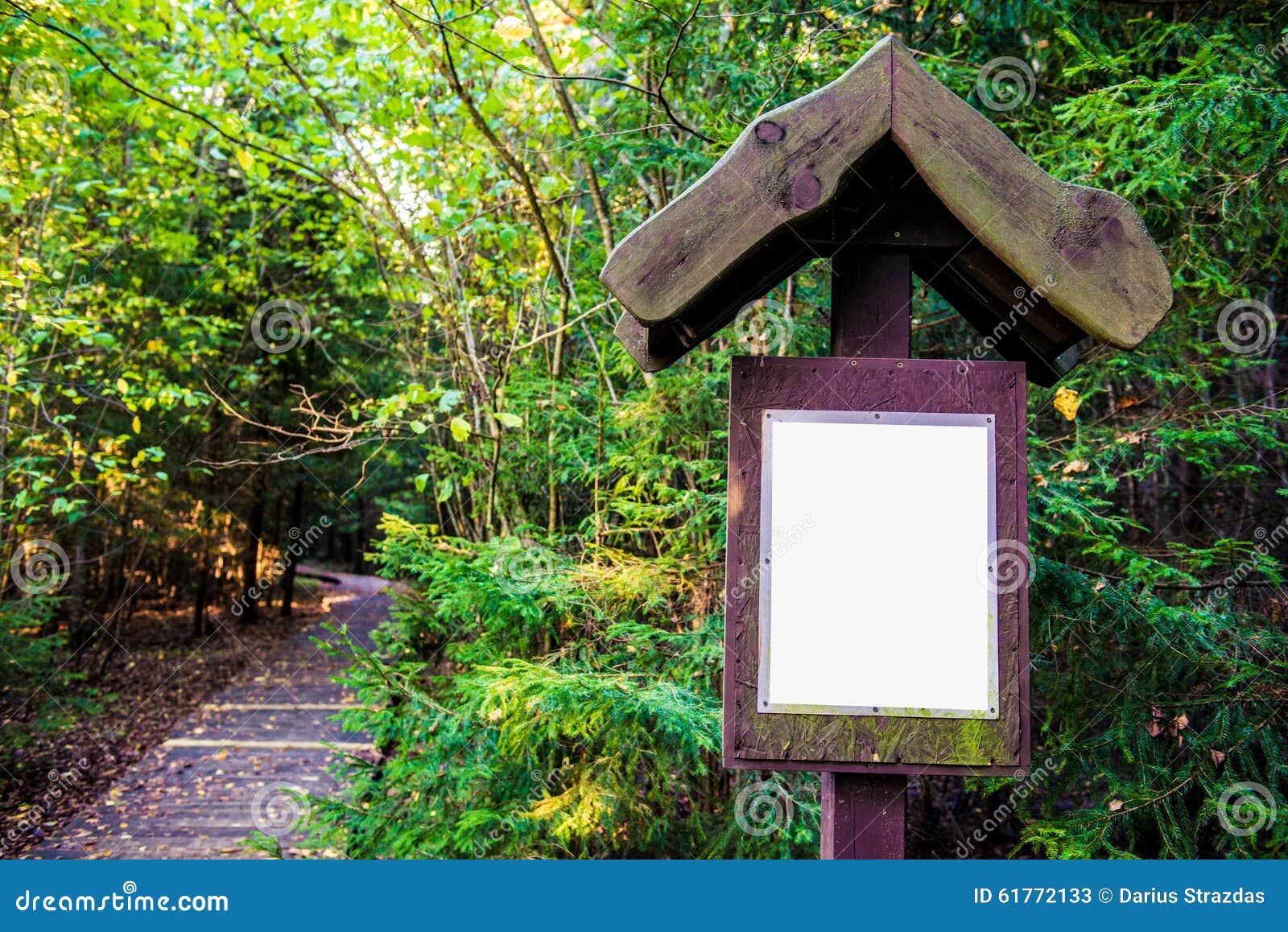 Direction sign in forest stock image. Image of beautiful 61772133