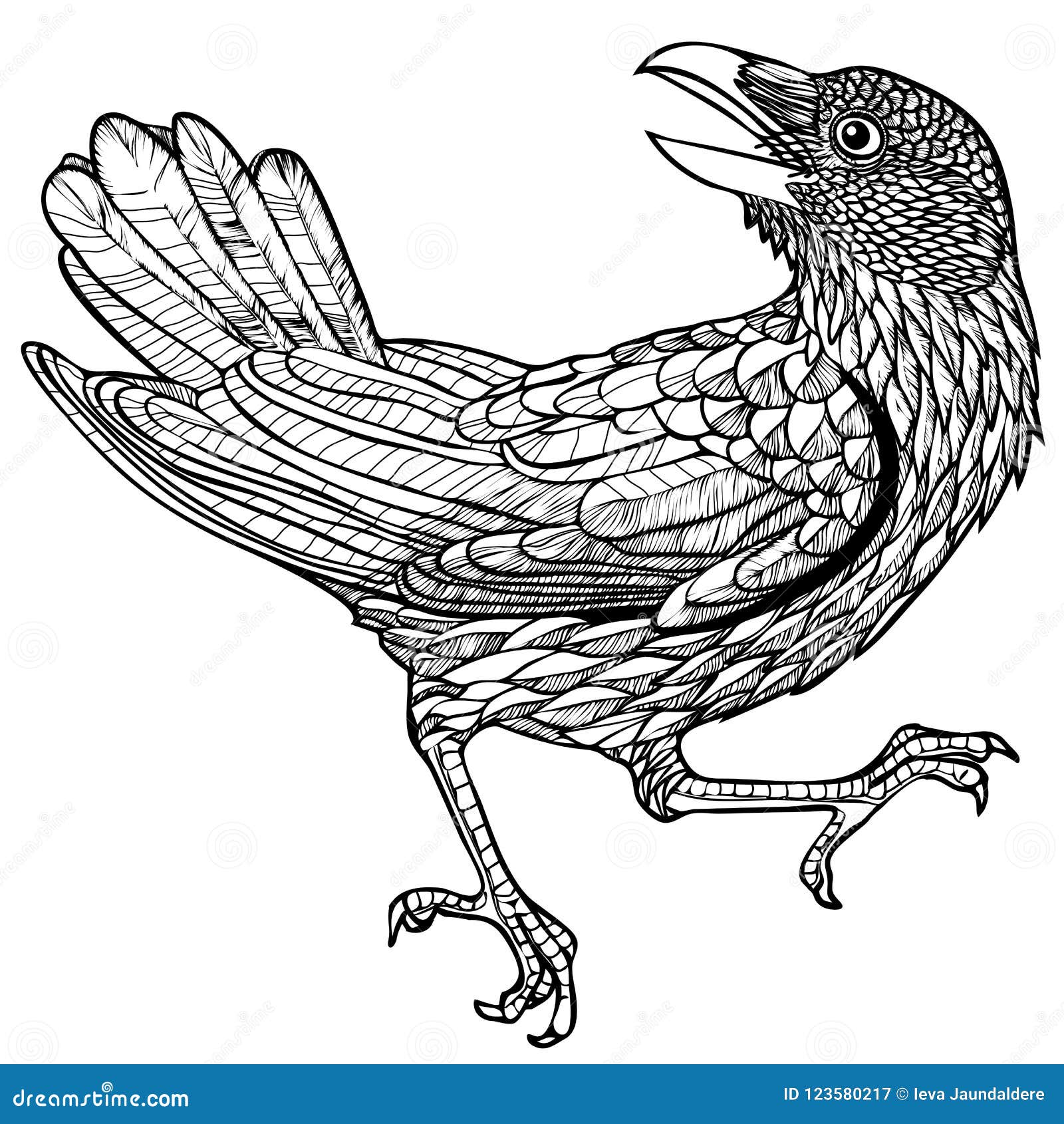 Dirigez l'illustration du modèle graphique gravé d'oiseau de corbeau noir et blanc