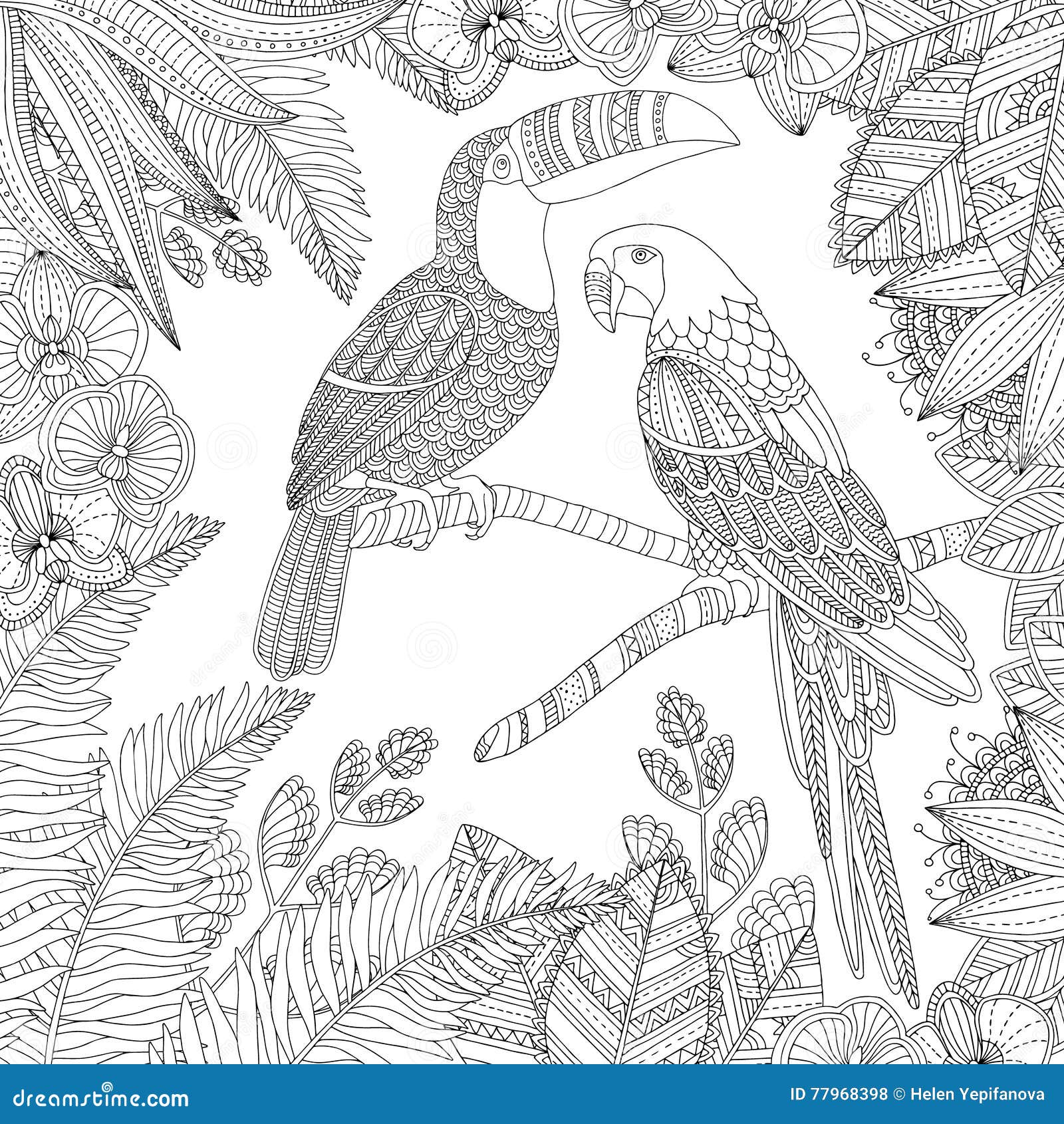 Dirigez l illustration tropicale tirée par la main d oiseau de toucan et de perroquet d arums pour livre de coloriage adulte Croq