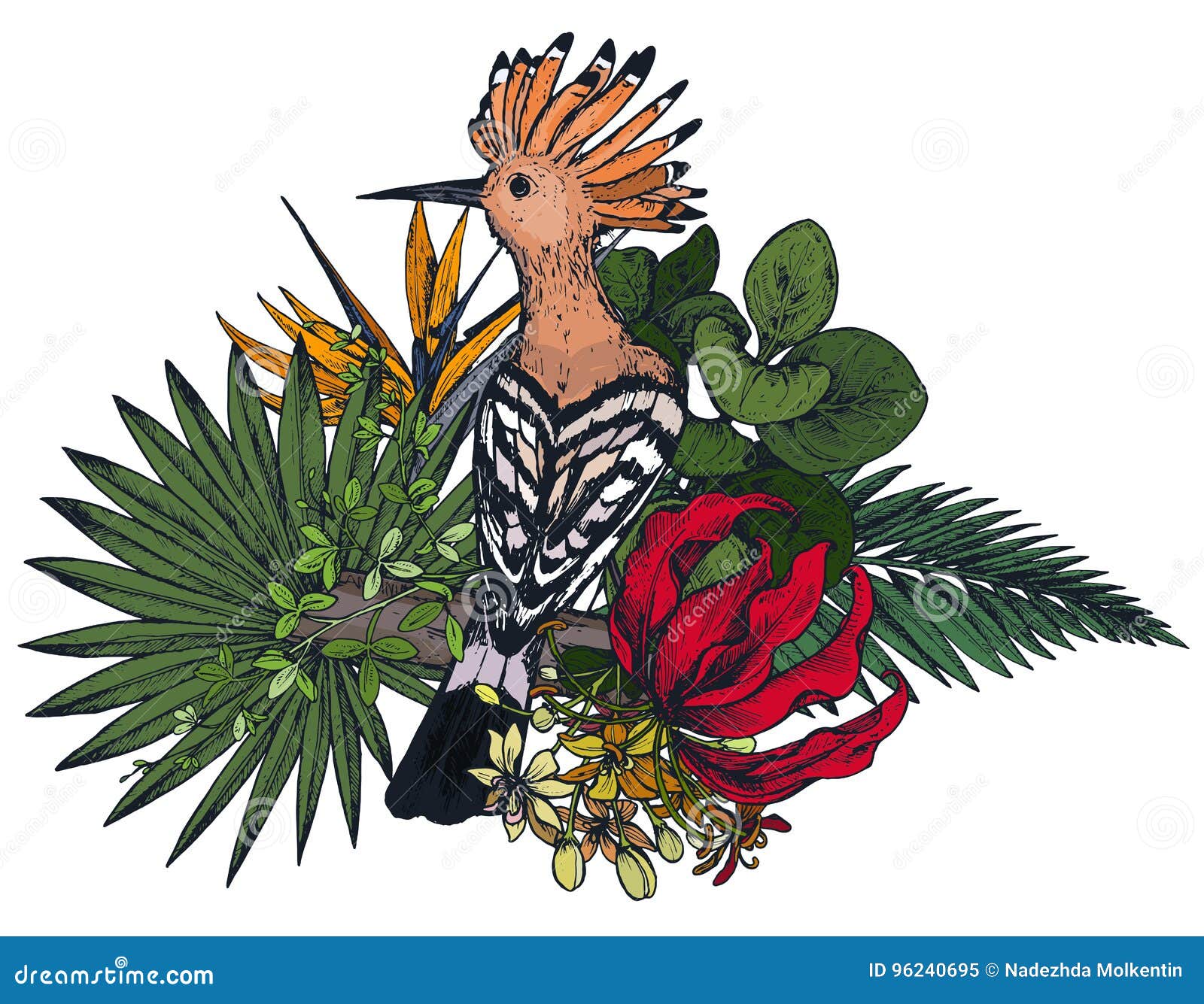 Dirigez La Composition Des Fleurs Tropicales Et De Loiseau