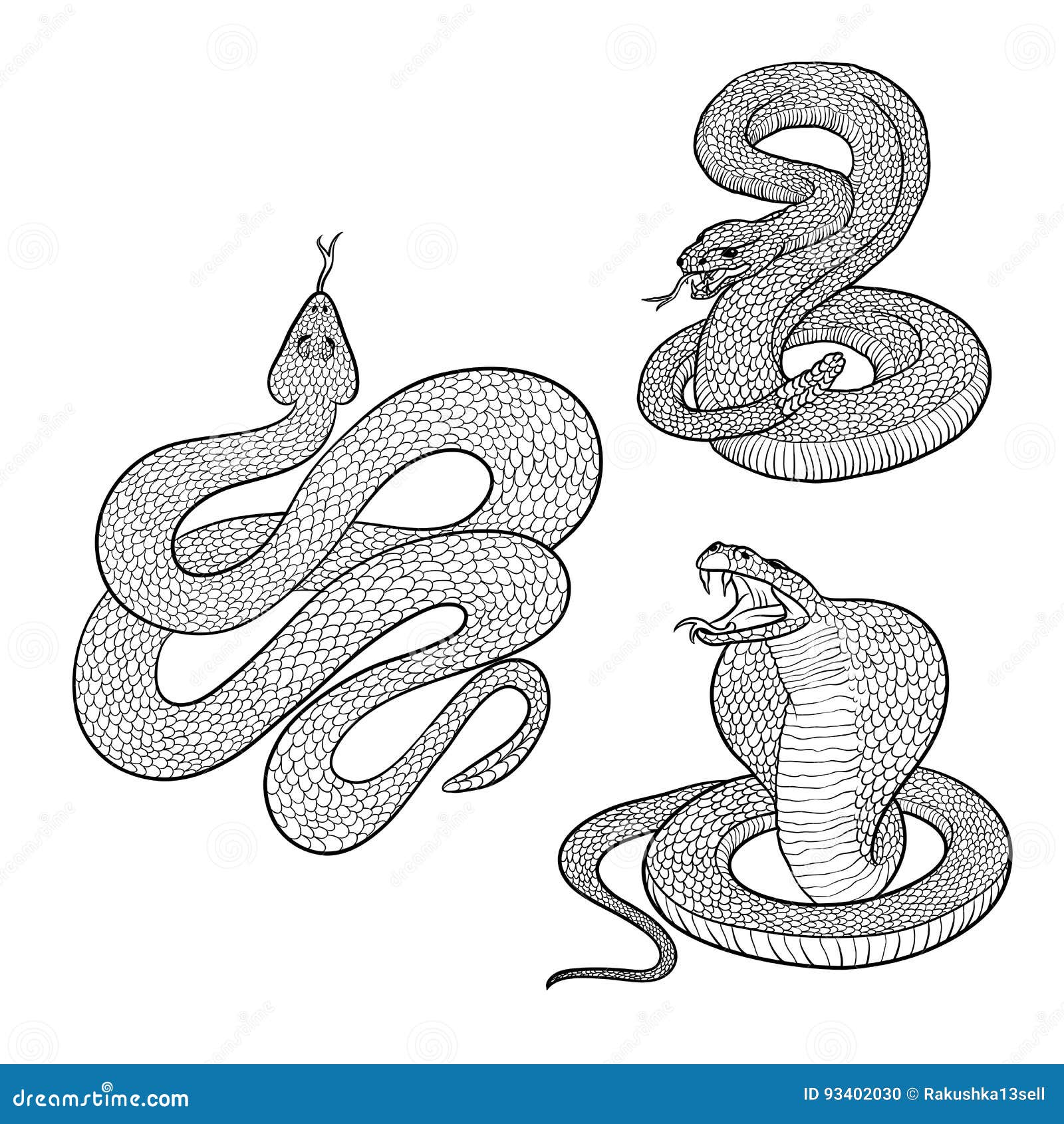 dirigez les serpents venimeux agressifs regles par illustrations d isolement prets a sauter figure reptiles dangereux cobra et se illustration de vecteur du tatouage courbure 93402030 coloriage couverture coeur crochet