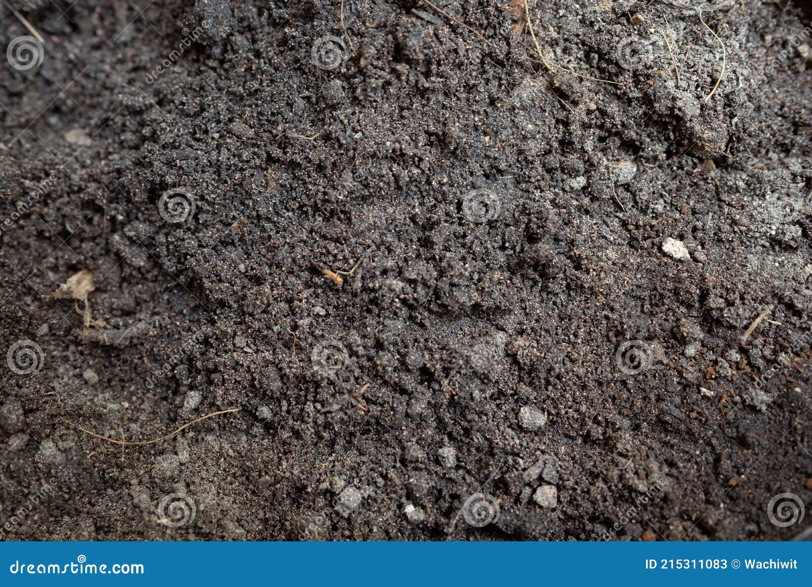 Dirt Ground in the Backyard Texture Background Stock Image Image of