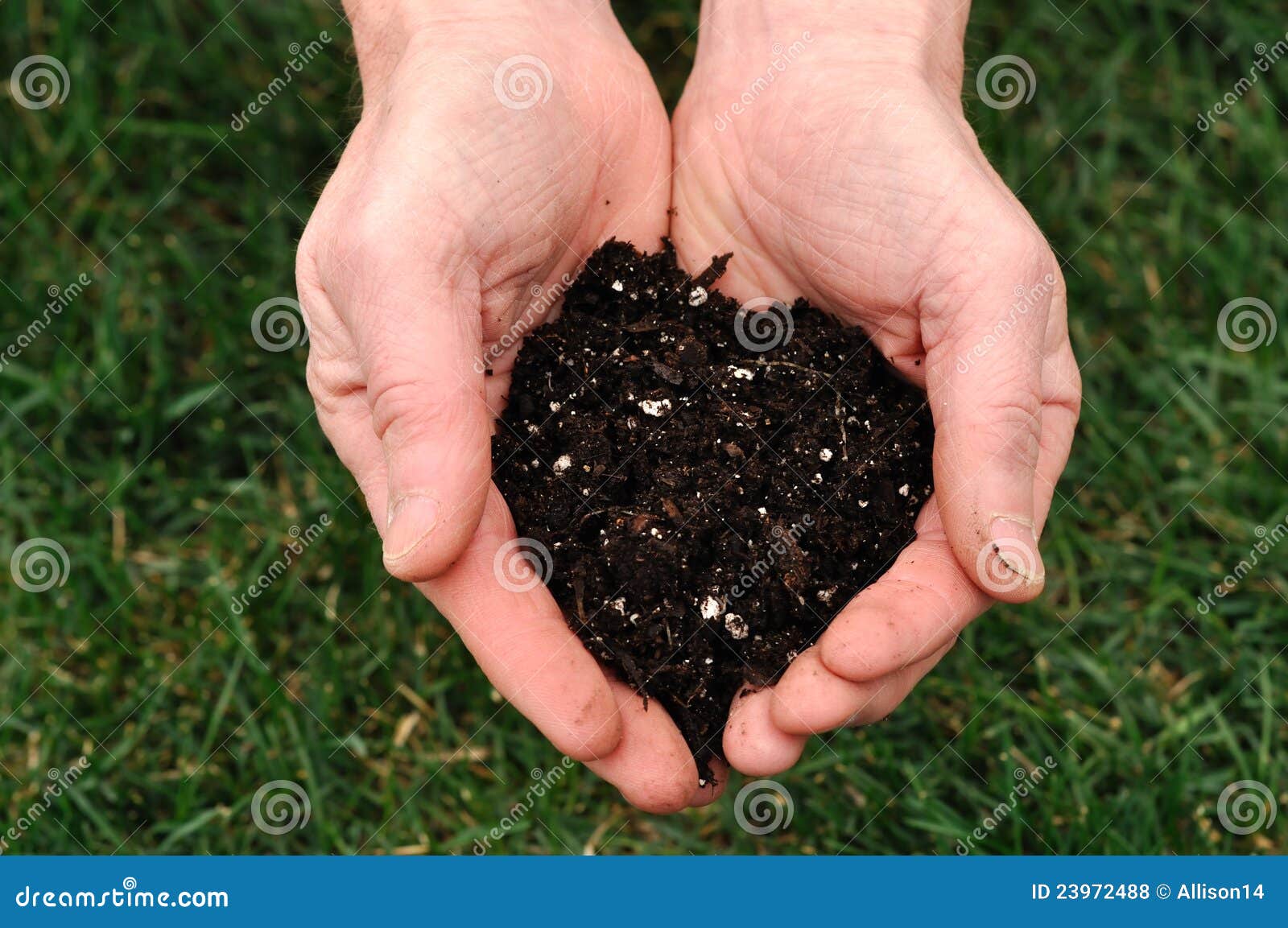 Dirt in Hands stock photo. Image of hands, nature, green 23972488