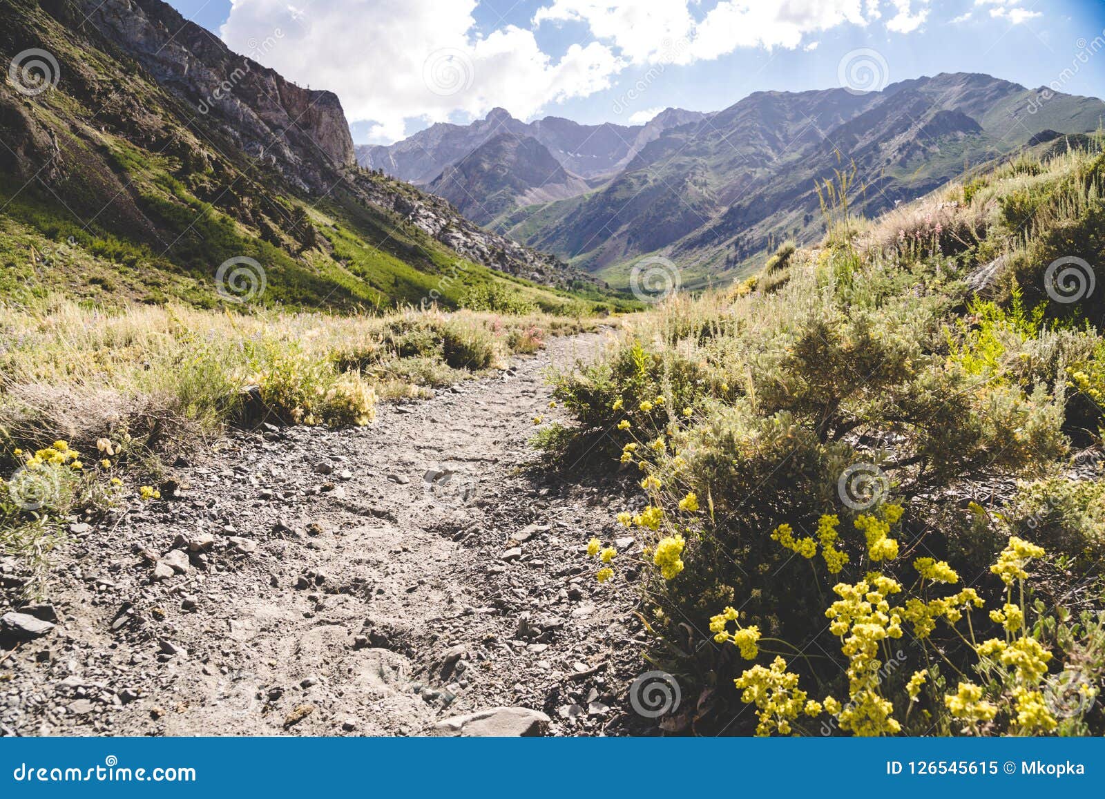 dirt hiking trail in mcgee creek near mammoth lakes california