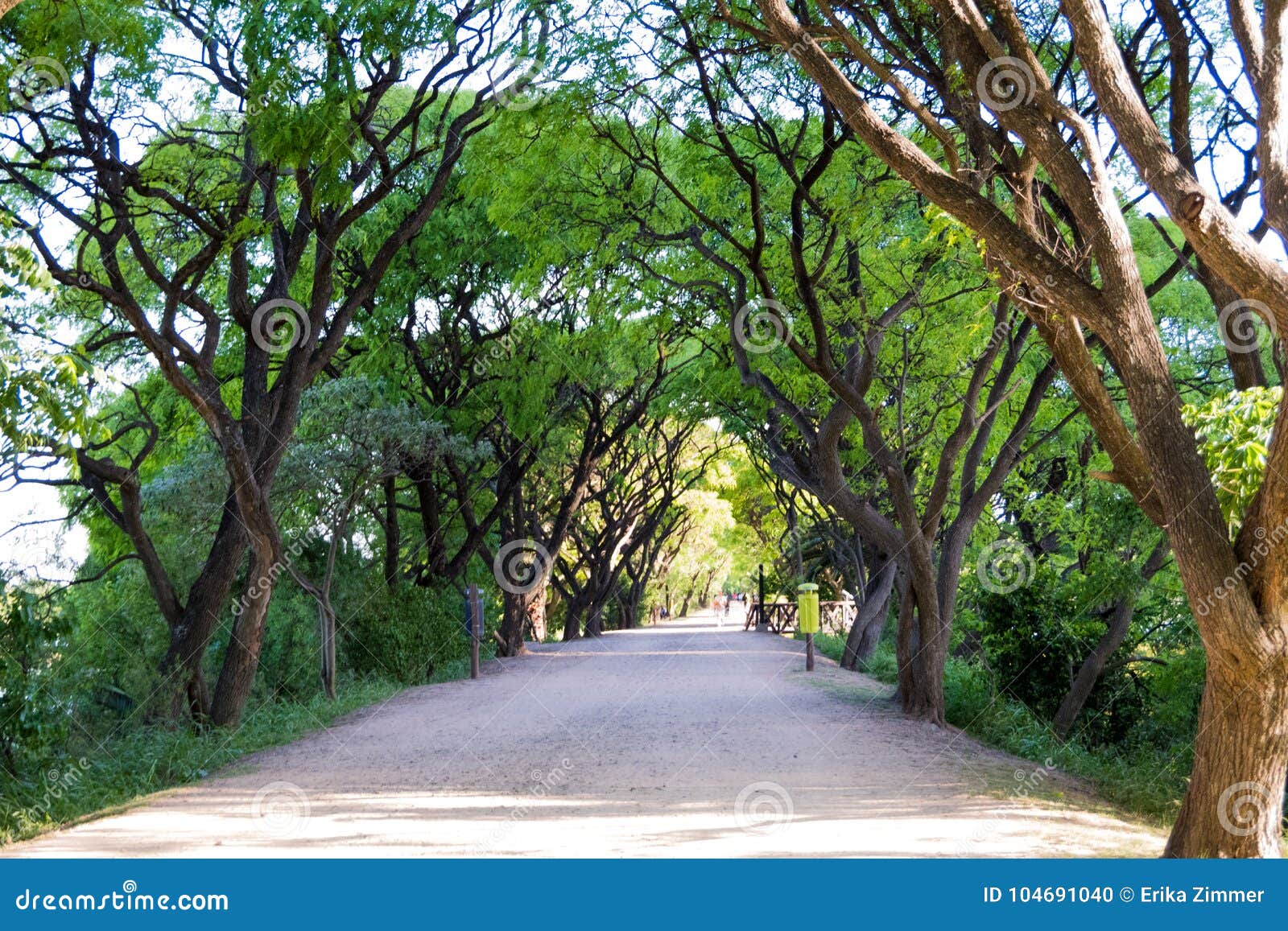 dirt path in puerto mader ecological reserve, framed by trees