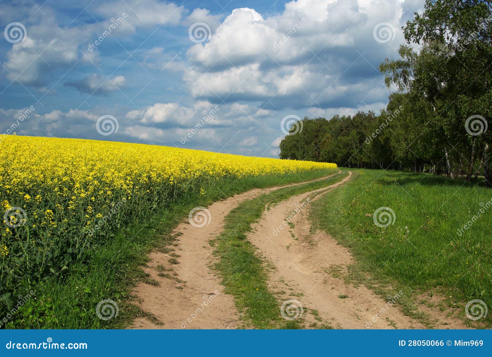 Dirt road stock photo. Image of field, landscape, bloom 28050066