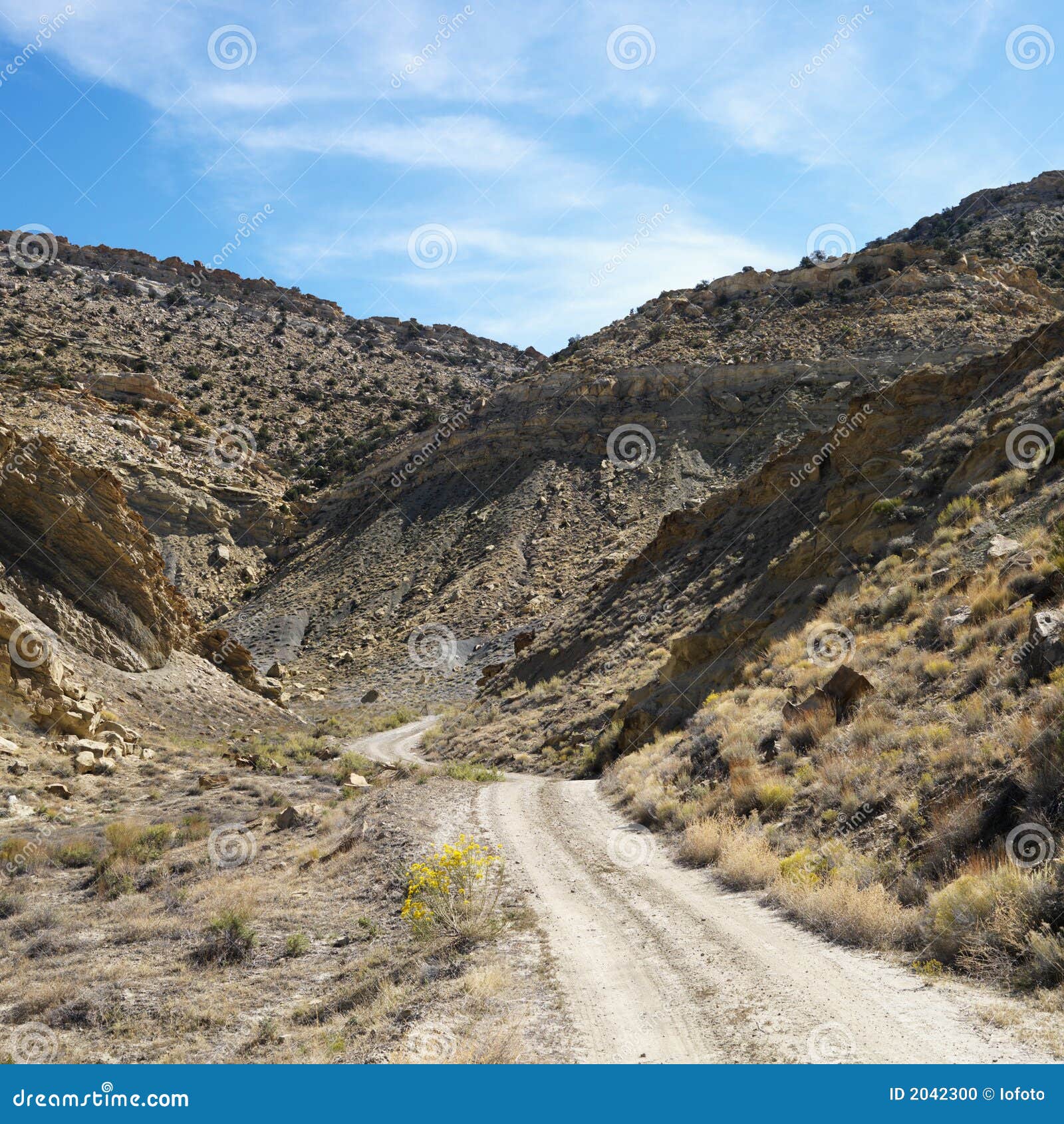 dirt road in cottonwood canyon, ut