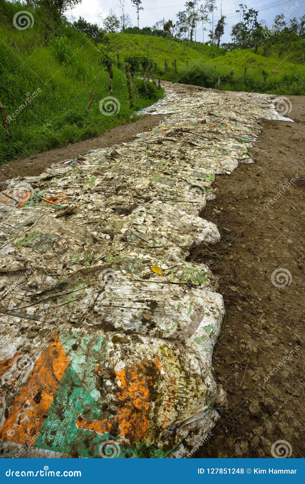 manure bags are used for traction for vehicles on dirt road in the alajuela province in costa rica.