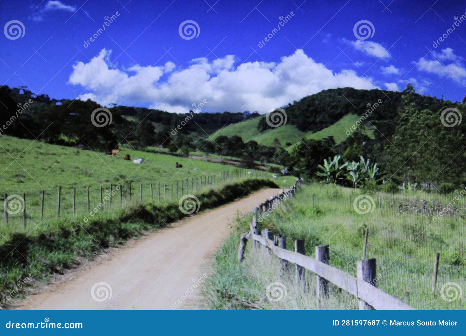 dirt road that cuts through two pastures in the rural area of a small town