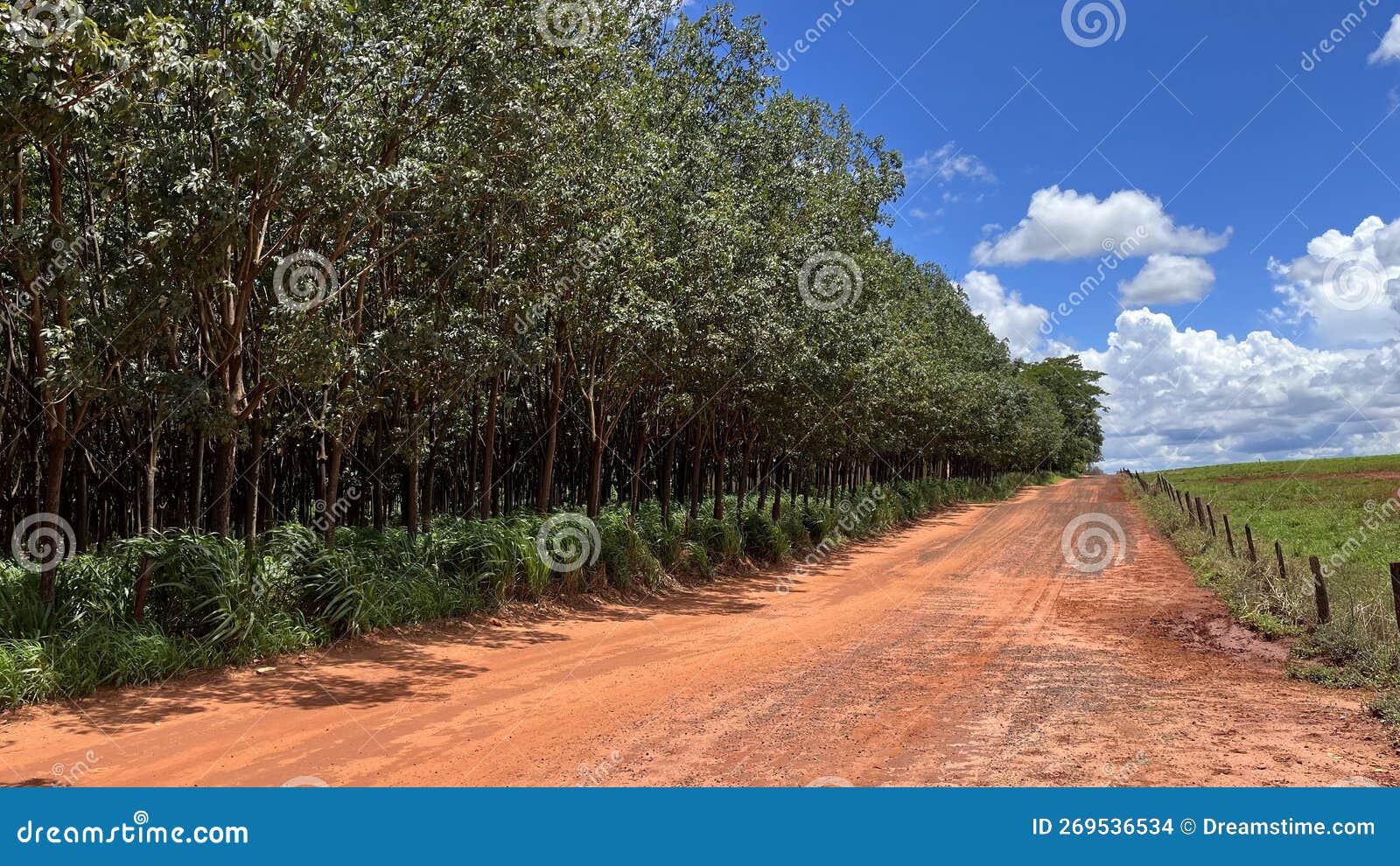 dirt road in the hinterland