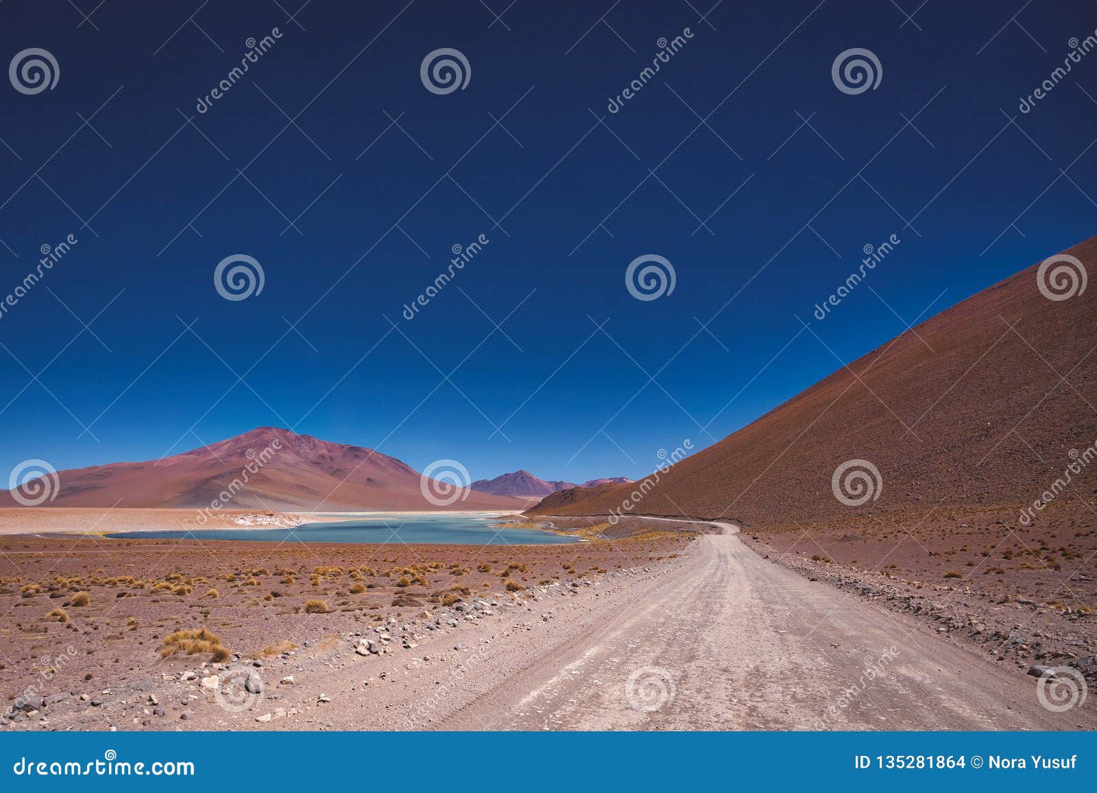 dirt road leading to the siloli salt flats
