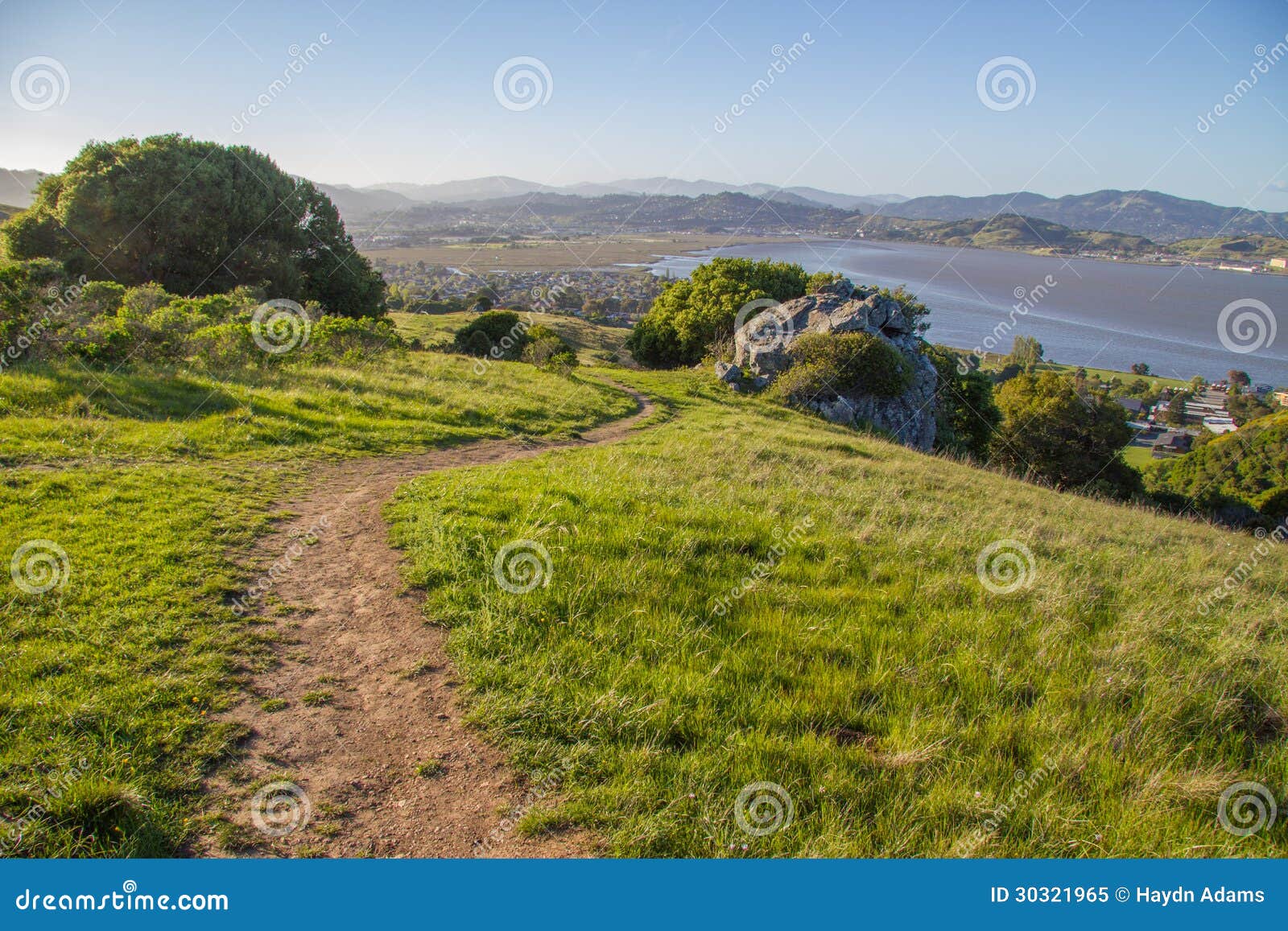 a dirt trail leading downhill on ring mountain in marin county california