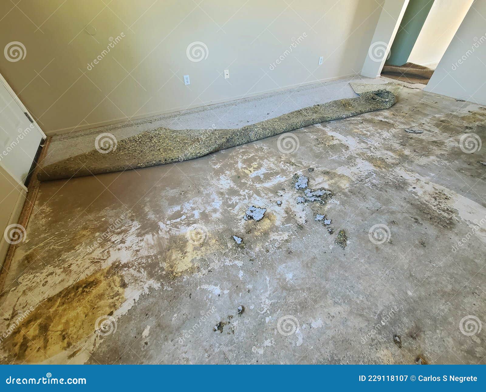 Dirt under carpet padding stock image. Image of soil 229118107