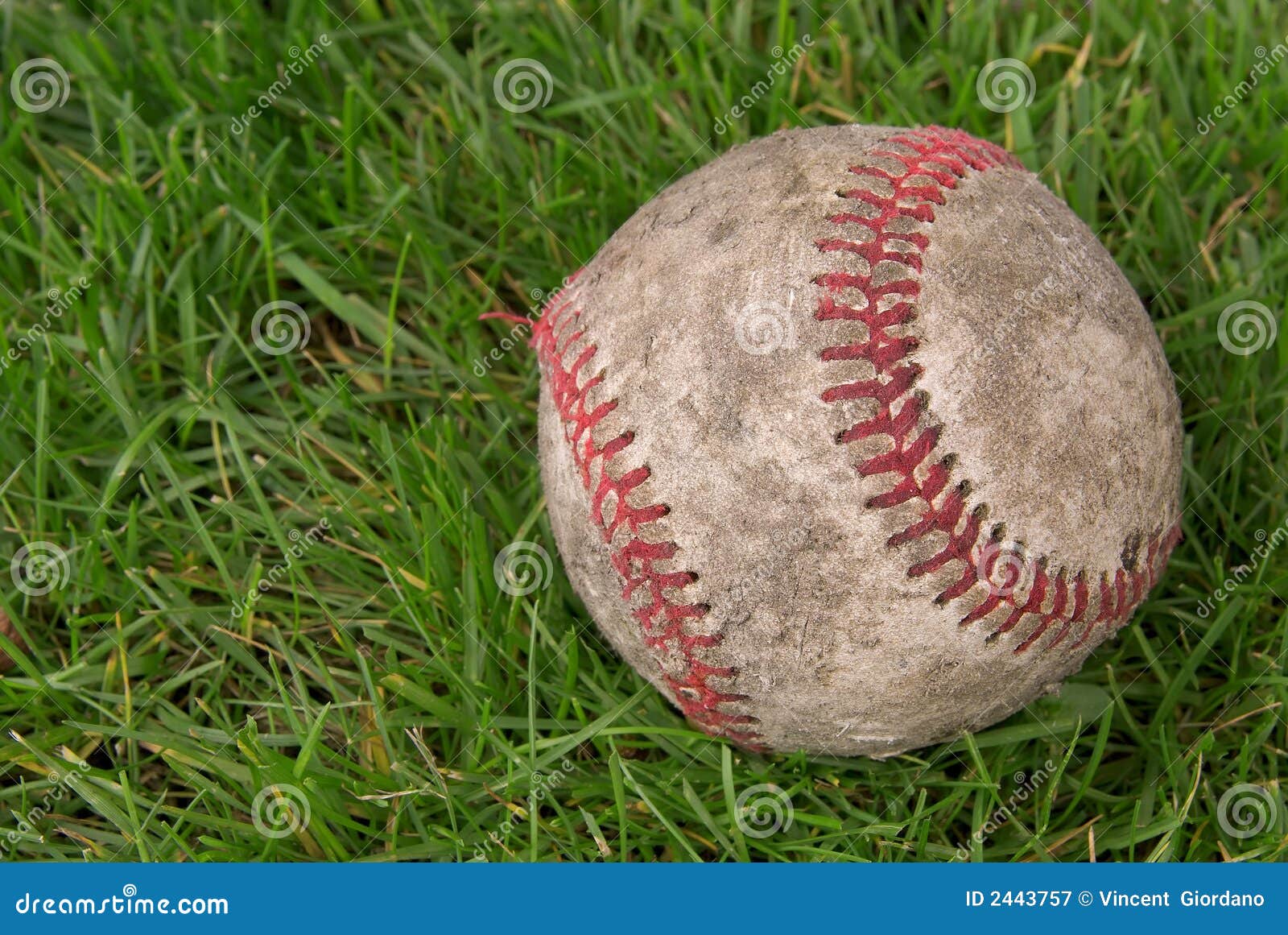 Dirty baseball in grass stock image. Image of american 2443757