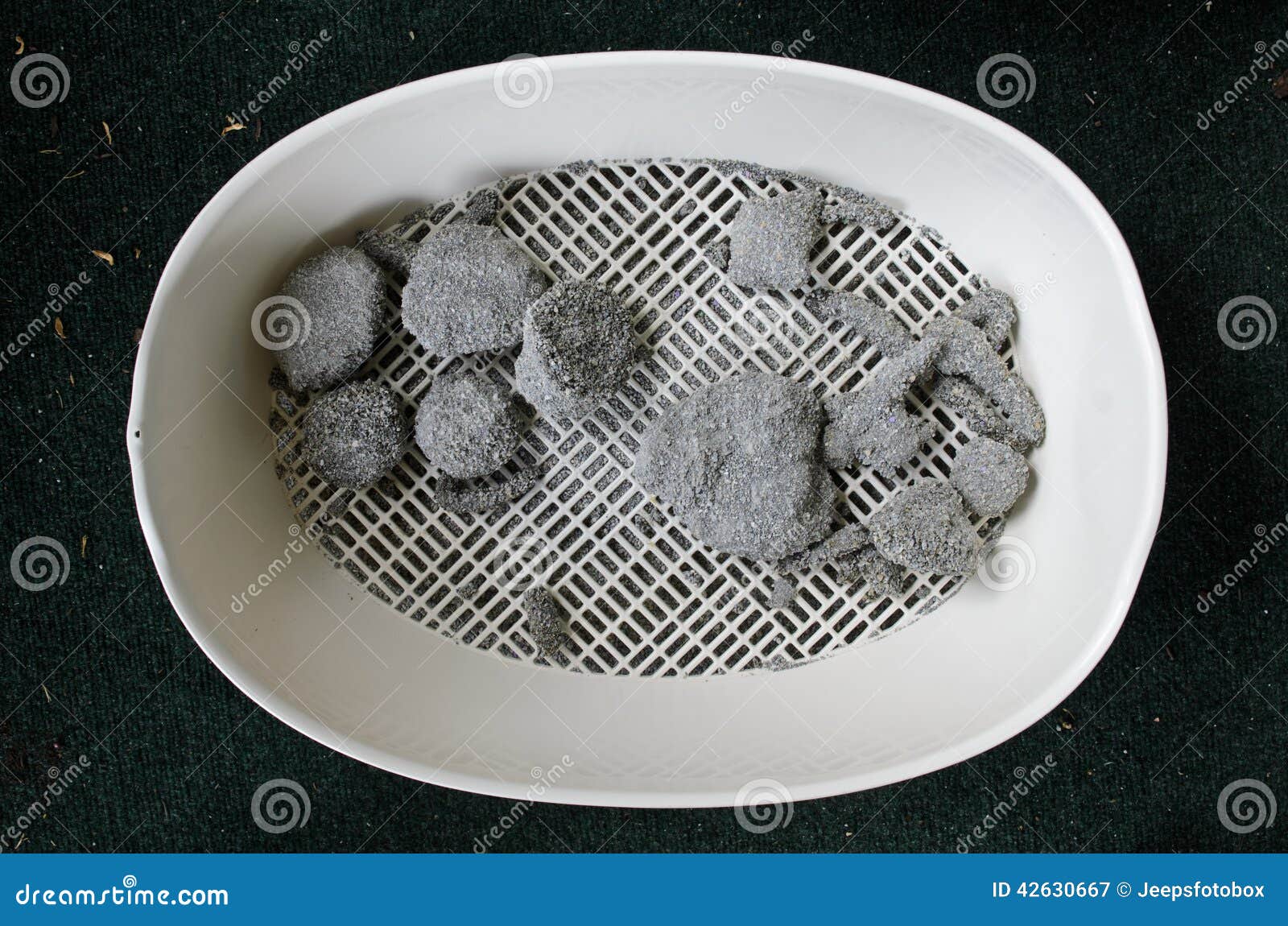 Dirty Cat Clay in Litter Box Stock Image Image of litter, clay 42630667