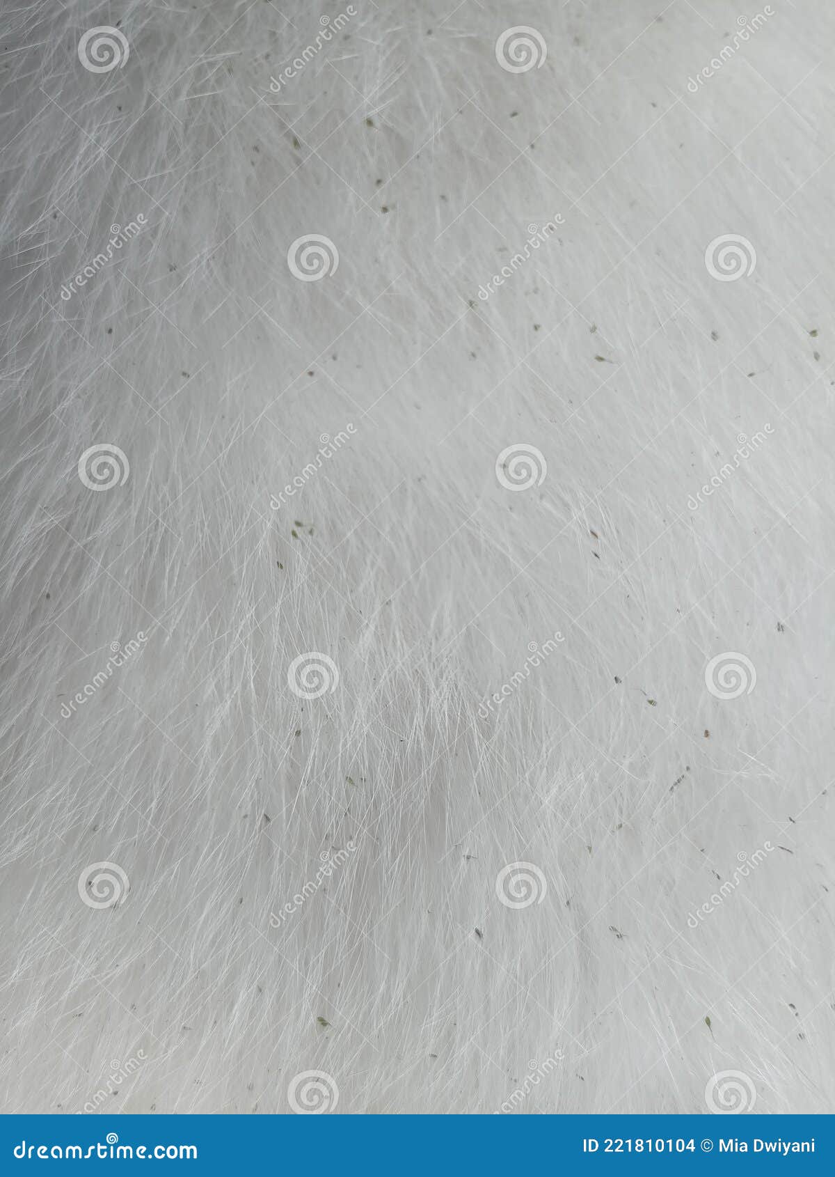 Dirty Cat Fur Covered in Grass Stock Photo Image of brown, line