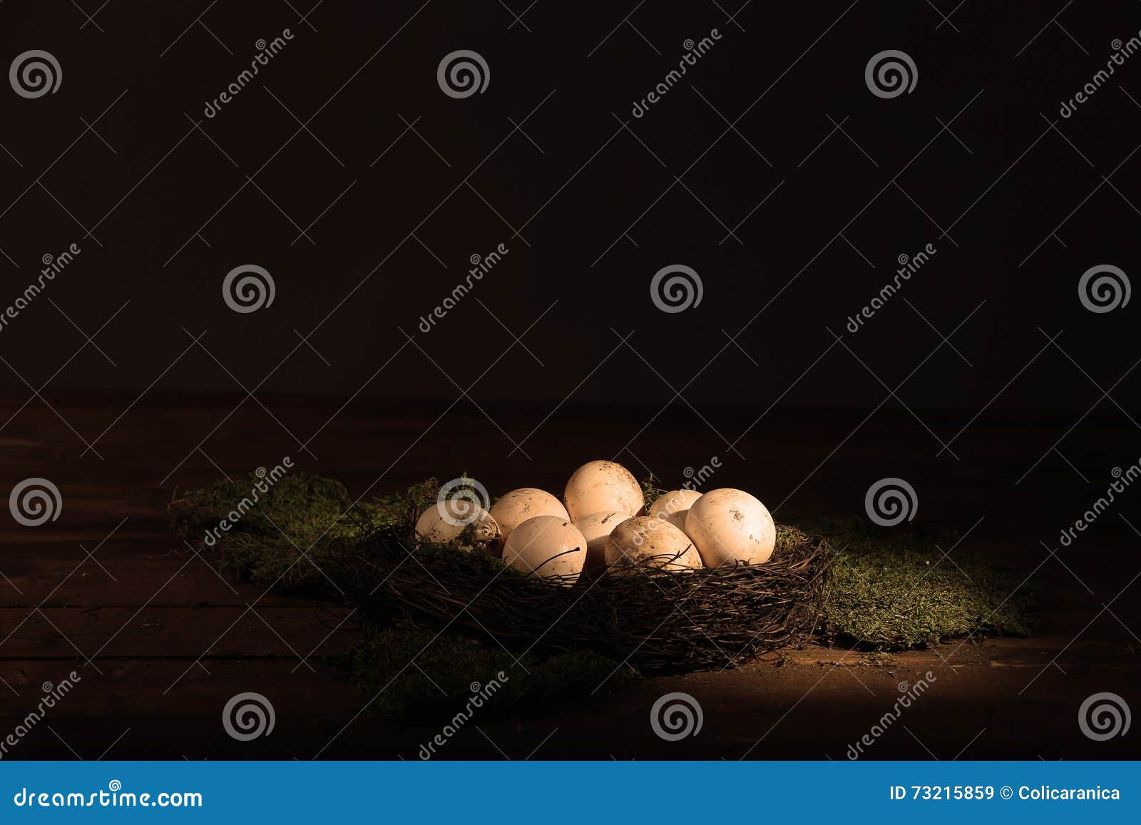 Dirty chicken eggs stock image. Image of eggs, nature 73215859