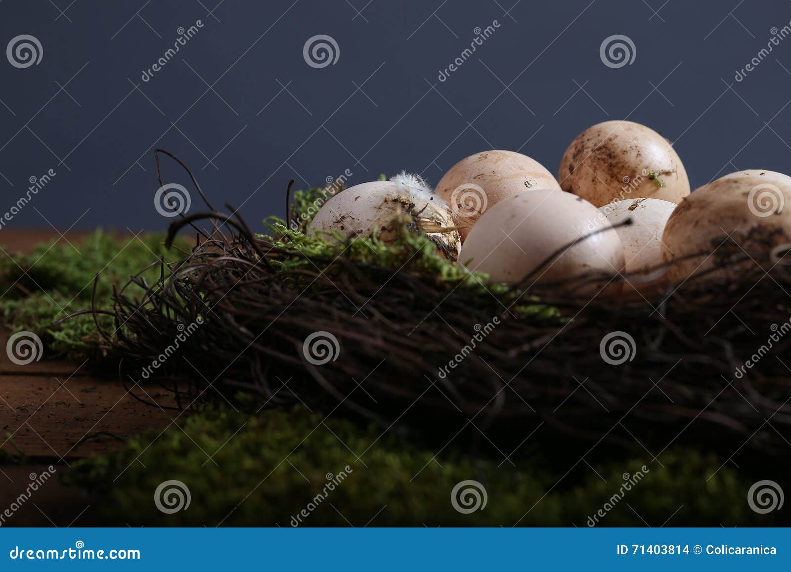 Dirty chicken eggs stock photo. Image of nest, wooden 71403814
