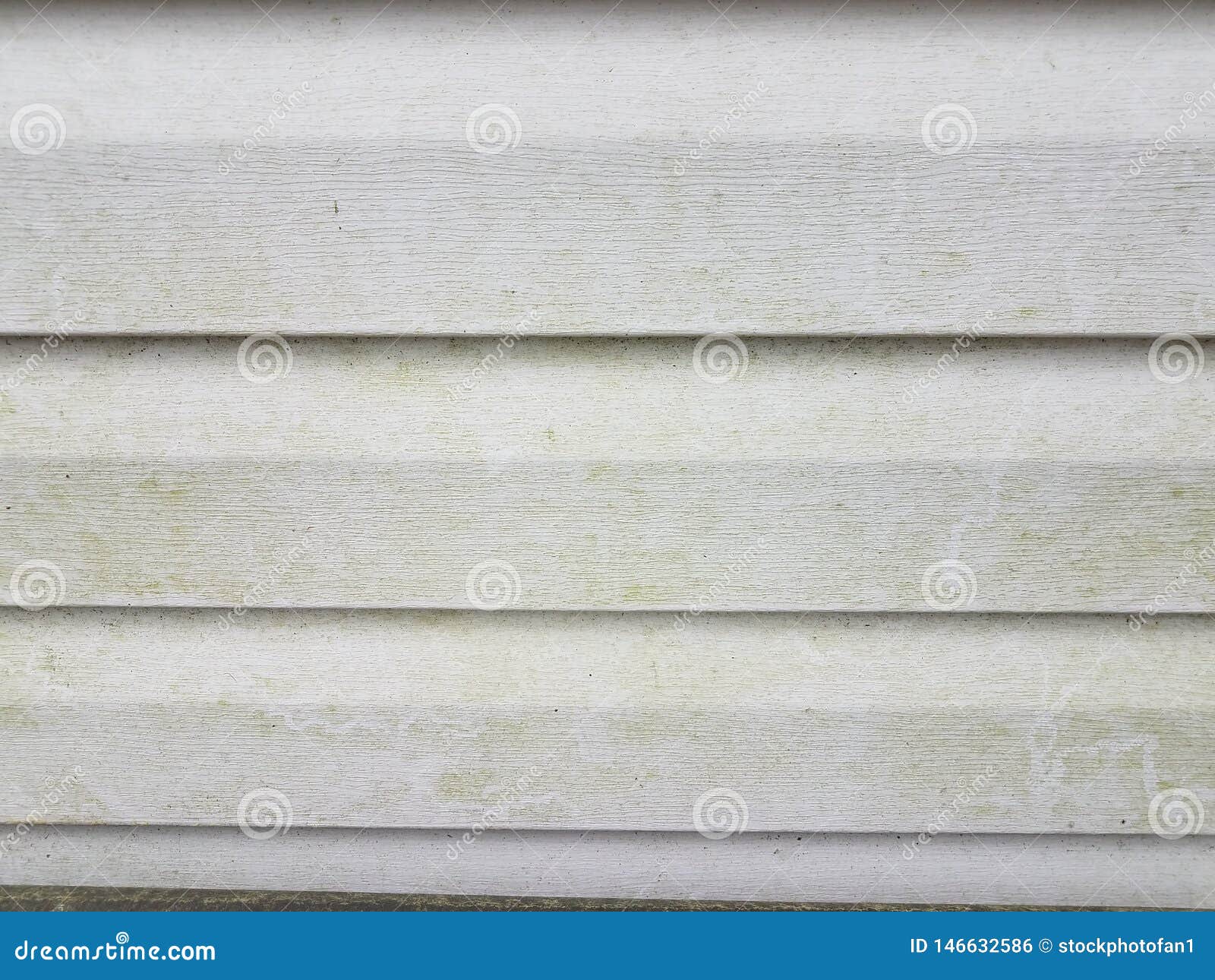 Dirty or Filthy White Home Siding with Algae Stock Photo Image of