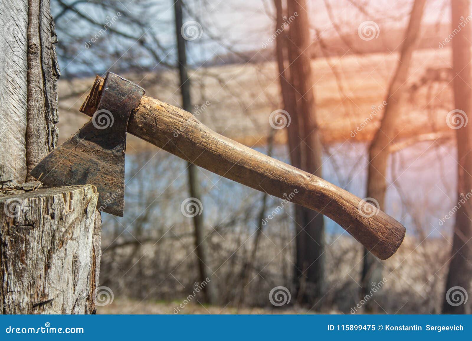 Dirty hatchet in tree stock image. Image of instrument 115899475