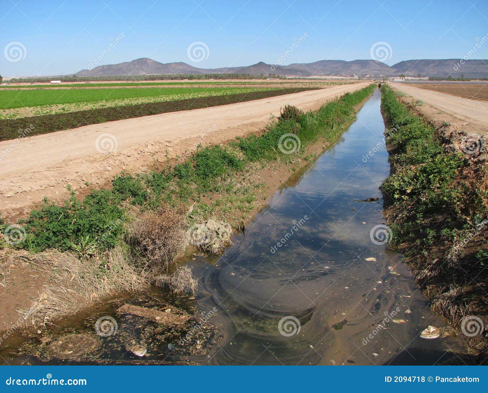 dirty irrigation ditch