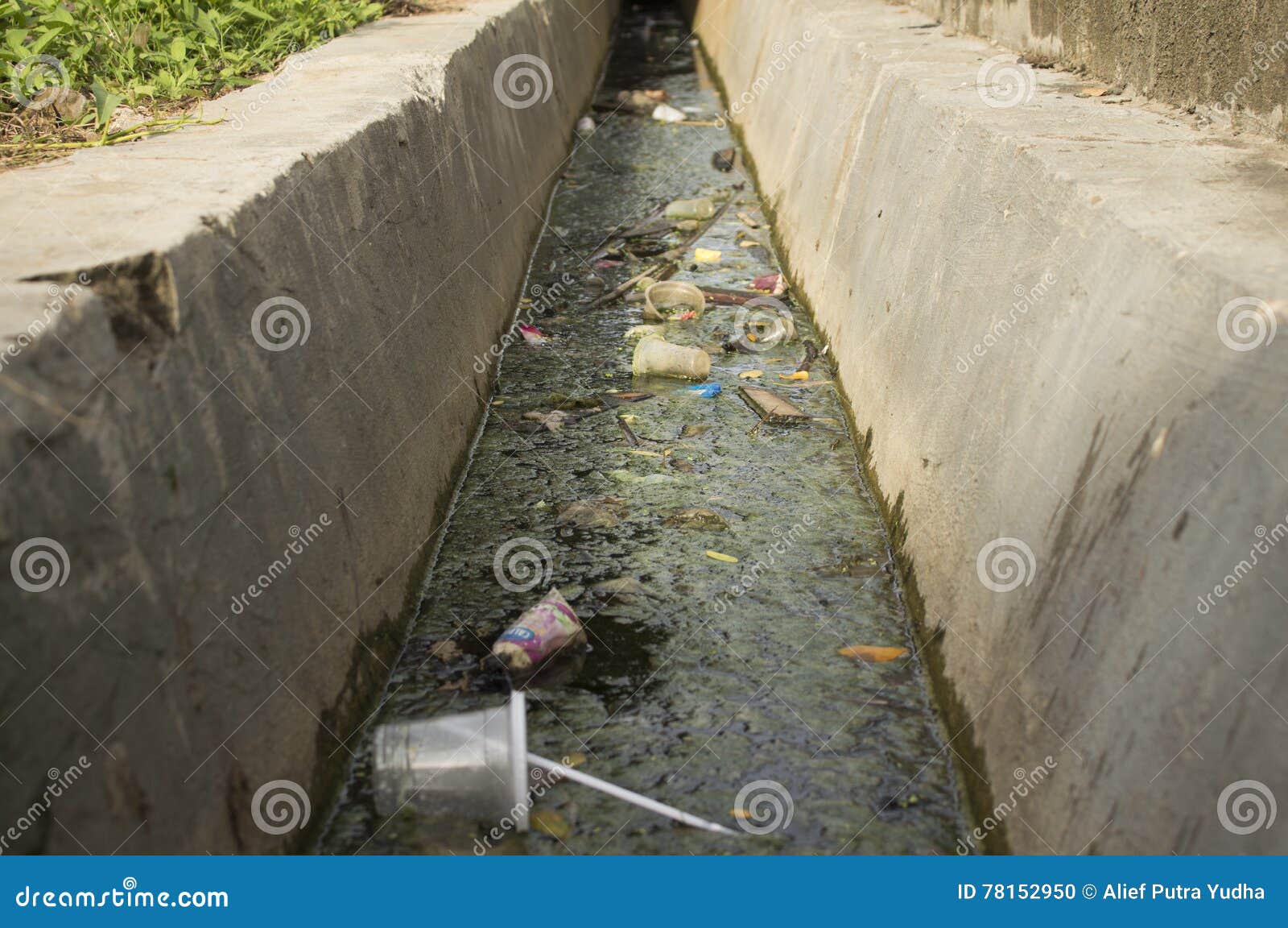 Dirty Irrigation Ditch Ecological Problems Stock Photo Image of