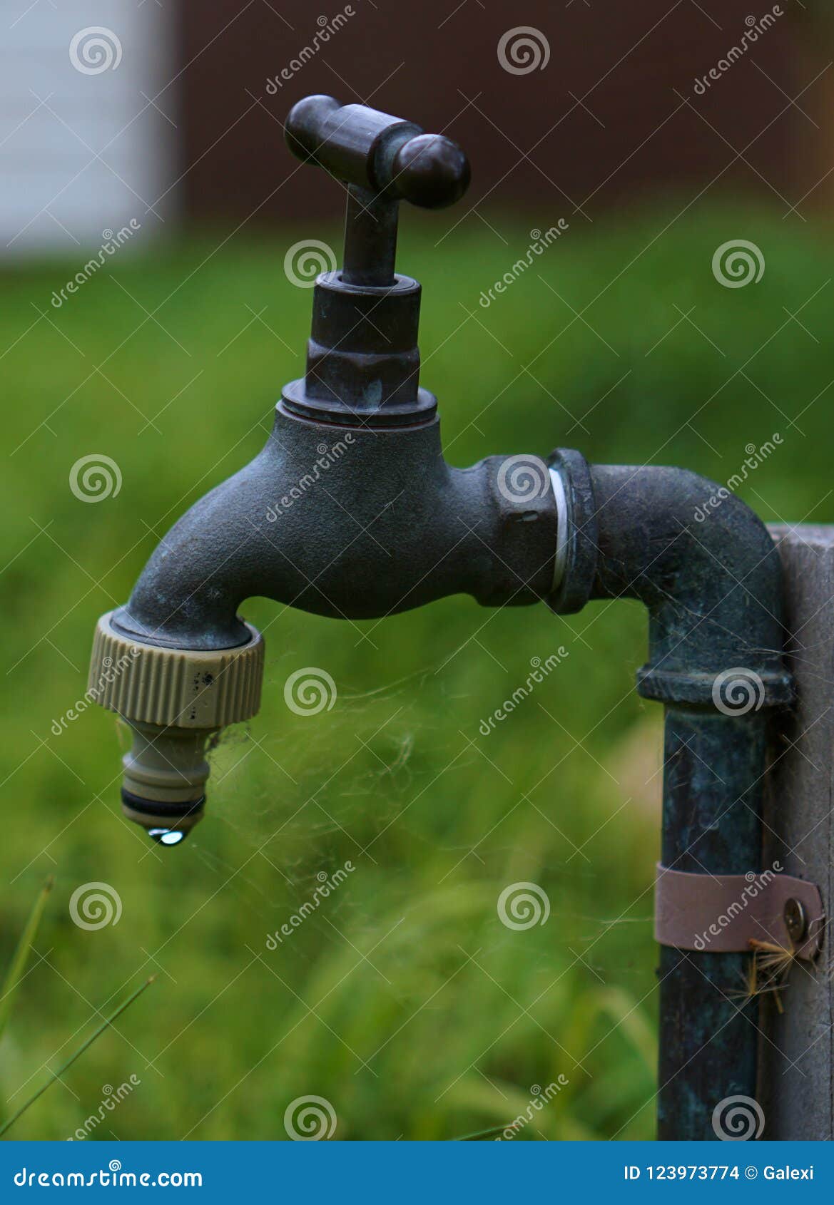 Dirty Old Tap Dripping a Drop of Water Stock Photo Image of plumber