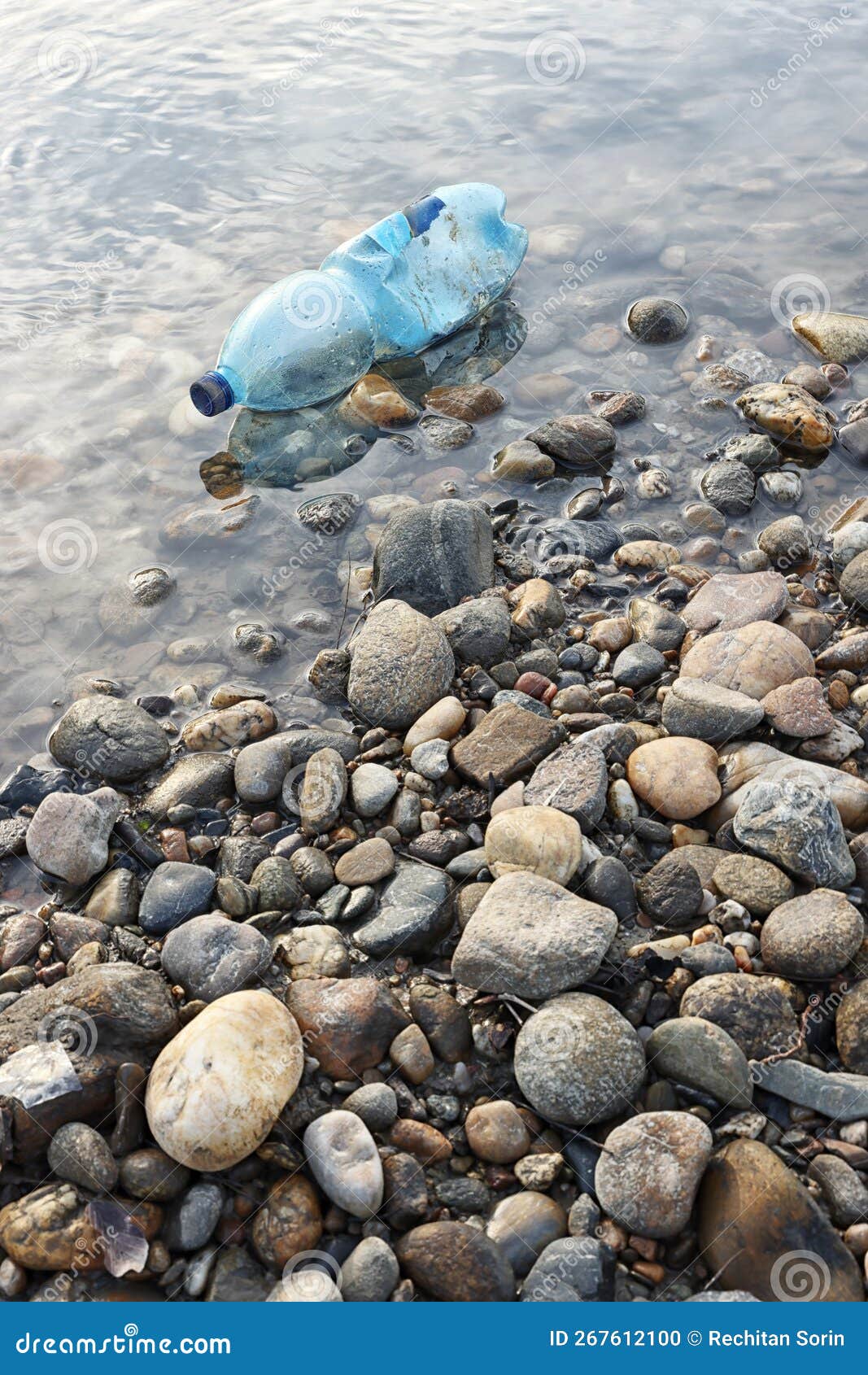 Water Pollution. Plastic Bottle on the River Beach. Stock Photo Image
