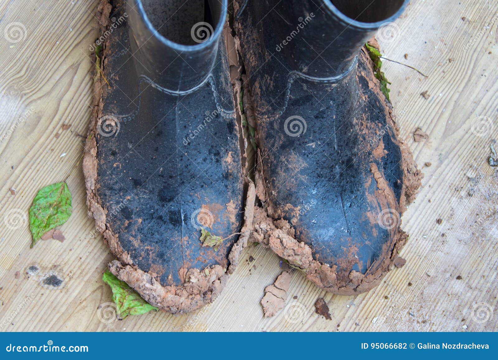 Dirty Rubber Boots after Work in the Garden in Rainy Weather. To Stock ...