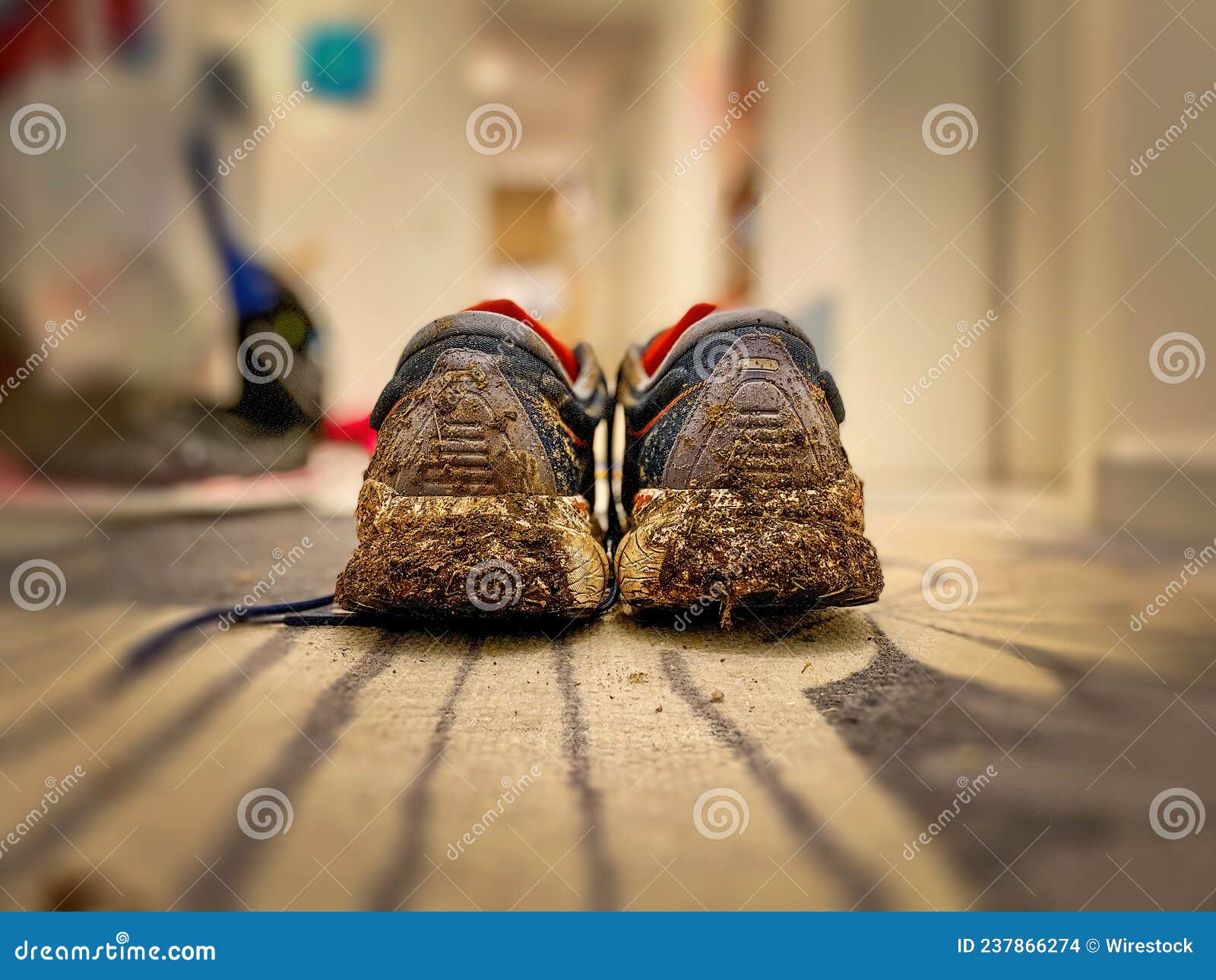 Dirty Running Shoes Coming Home Stock Photo - Image of soap, blur ...