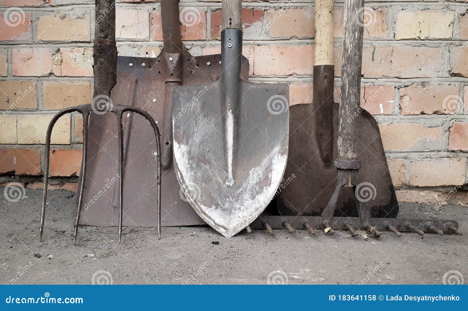 Dirty Rusty Shovels, Garden Hoe, Rake and Pitchfork Stock Photo Image